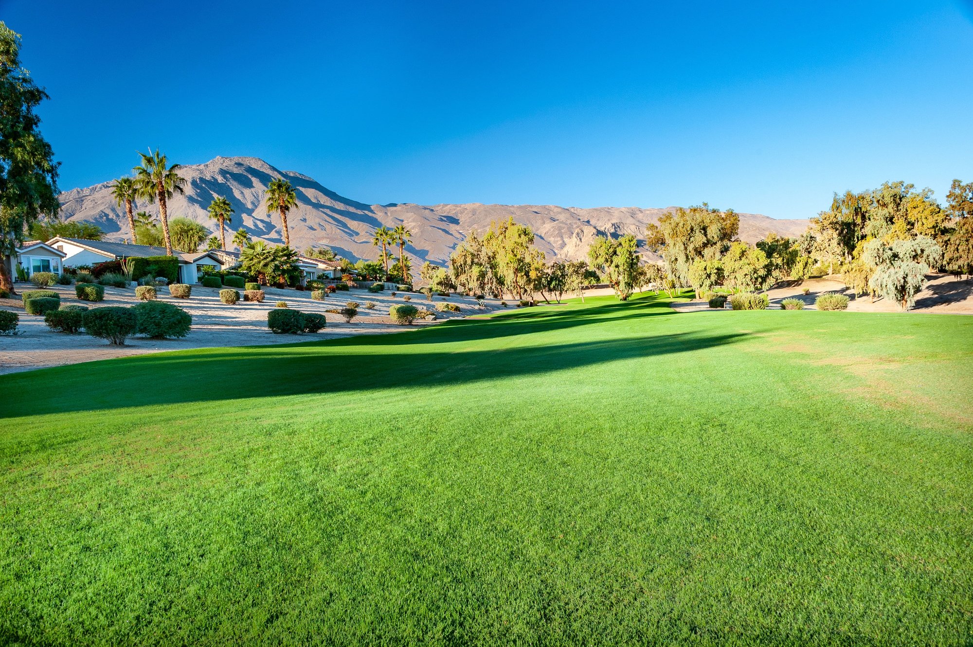  Live the Dream Trilogy La Quinta and Golf Club 55+ - 物件實景