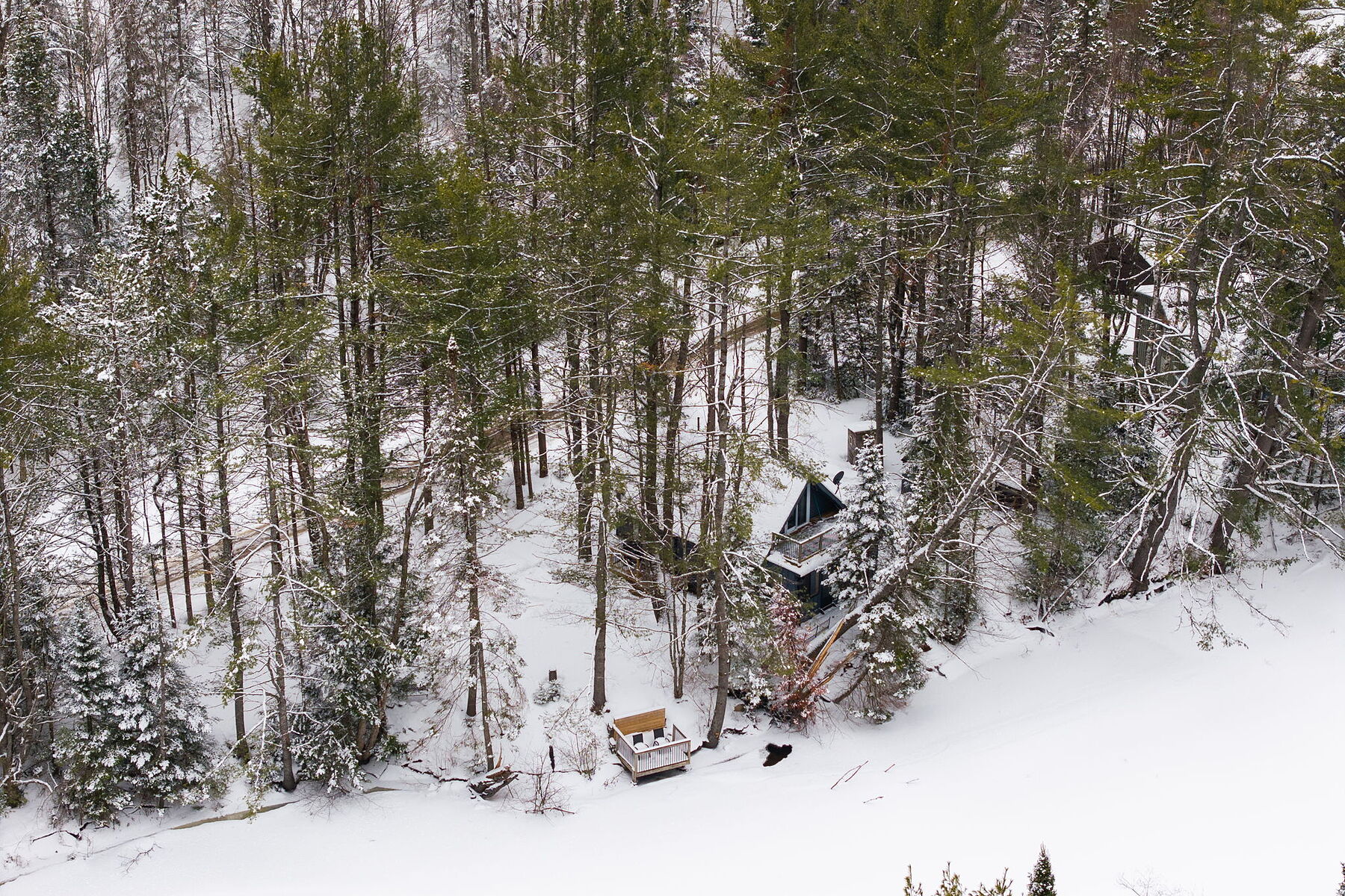  Serene Irondale River Cottage - 物件實景