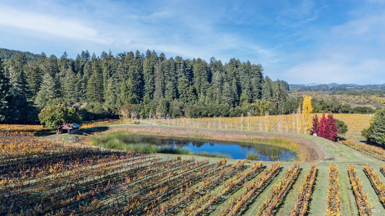 Philo, California, 95466, United States, 3 Bedrooms Bedrooms, ,3 BathroomsBathrooms,Residential,For Sale,1987364