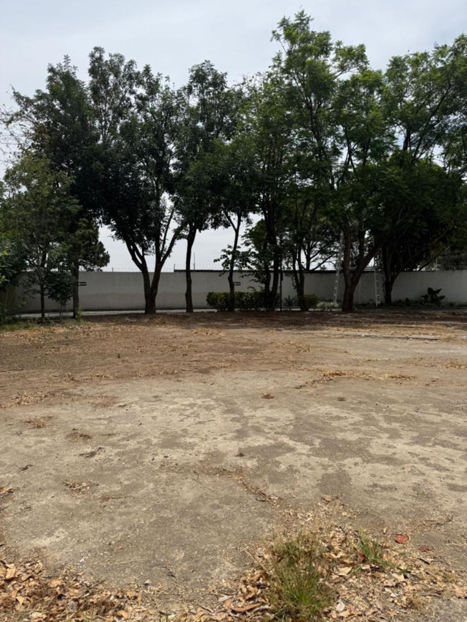 Zapopan, Jalisco, 45019, Mexico, 1 Bedroom Bedrooms, ,1 BathroomBathrooms,Residential,For Sale,1917949