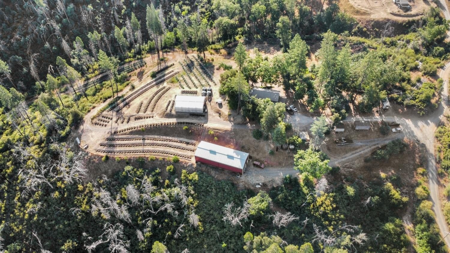 Mountain Ranch, California, 95246, United States, ,Land,For Sale,1981446