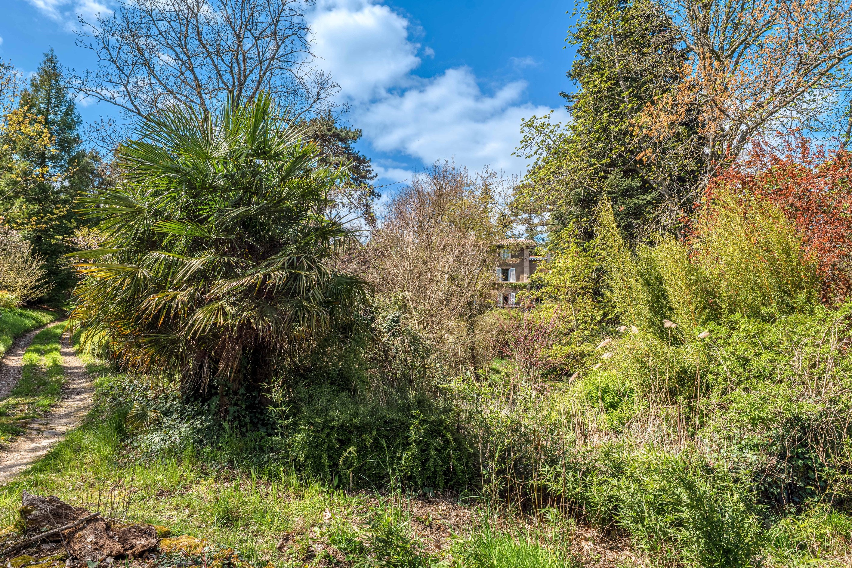  Maison - 物件實景