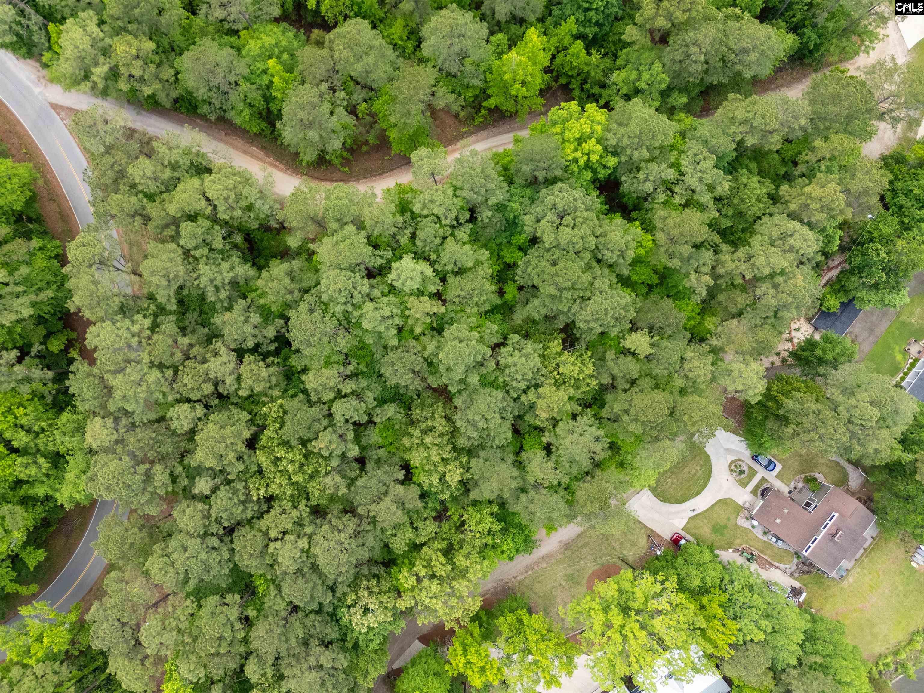  1427- Buck Hill Landing Road  Ridgeway, SC - 物件實景