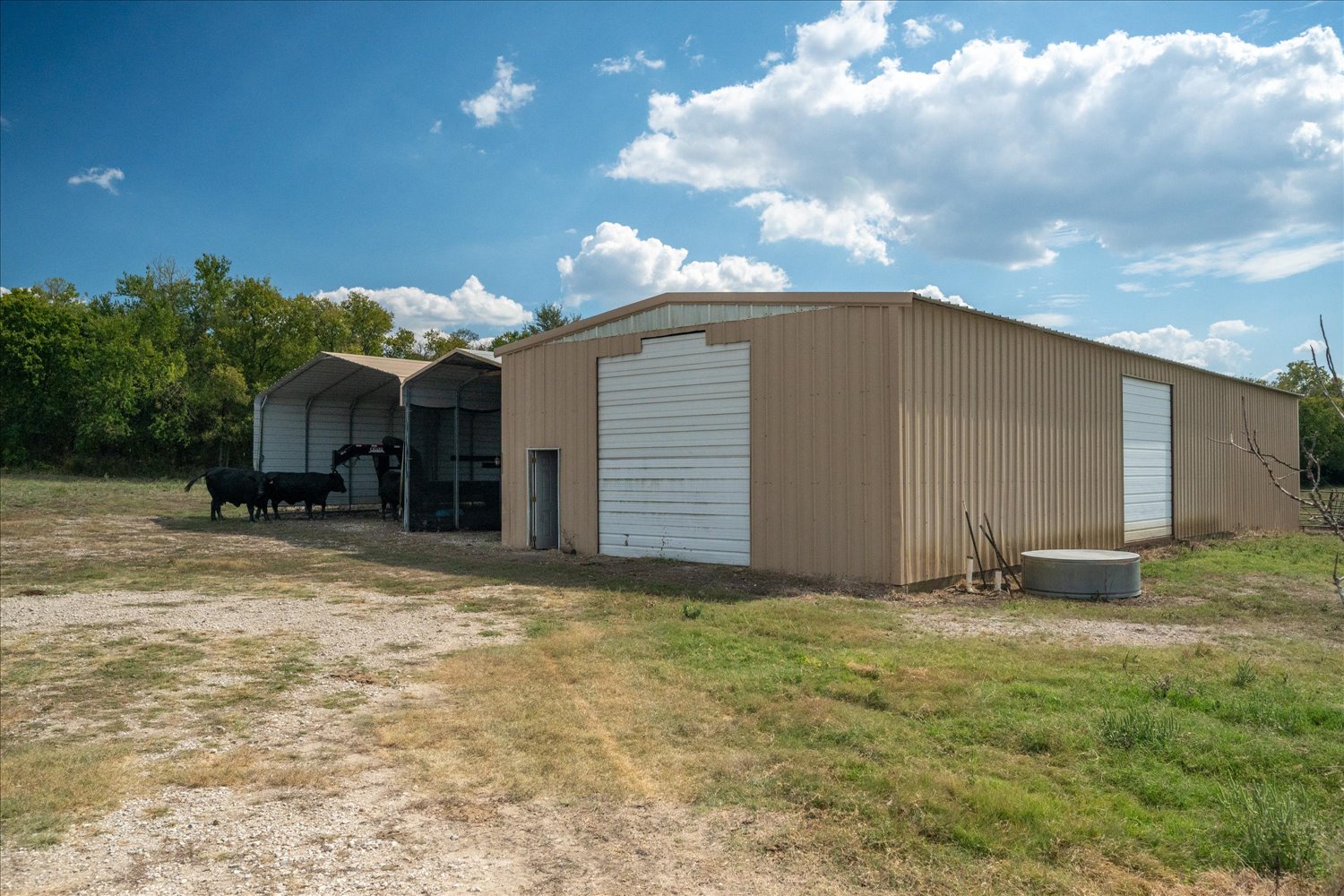 Celeste, Texas, 75423, United States, ,Land,For Sale,1983780