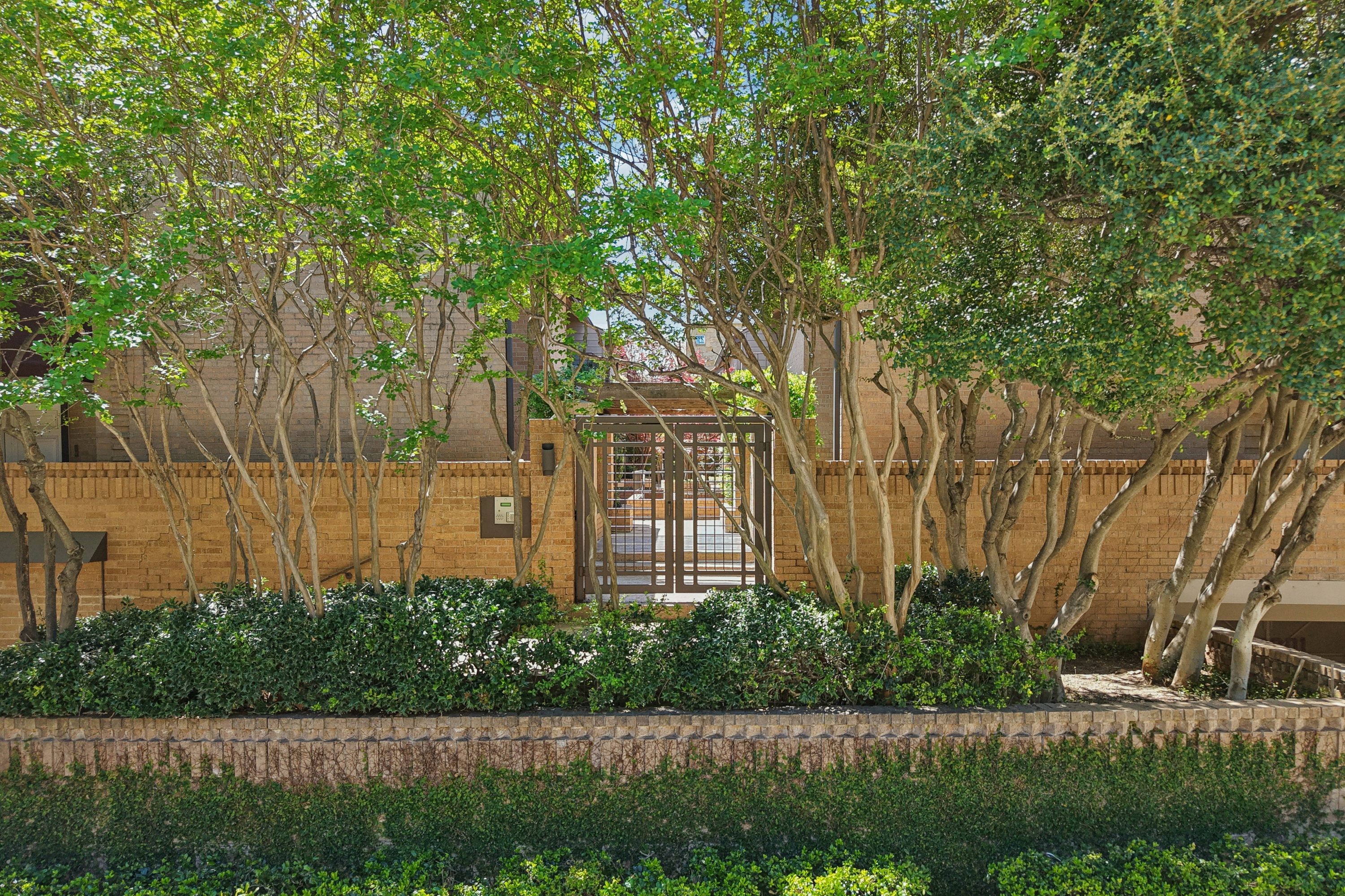  Treehouse Vibes in SoHiP - 物件實景