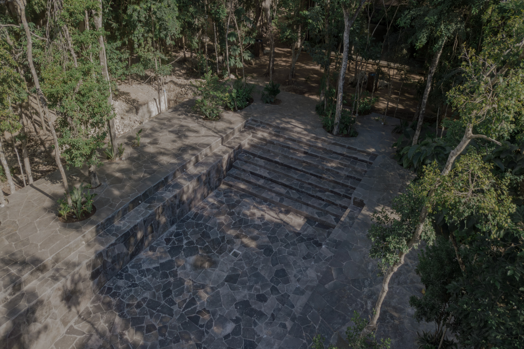  ECO JUNGLE SUSTAINABLE CONDOS - 物件實景