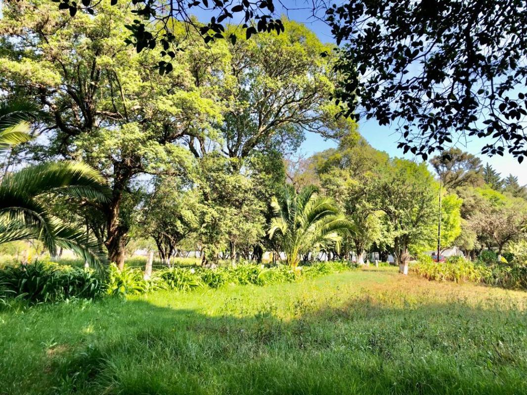 Paseo de las Bugambilias, Tepotzotlán, Estado de México, 54604, Mexico, 1 Bedroom Bedrooms, ,Residential,For Sale,Paseo de las Bugambilias,1624977