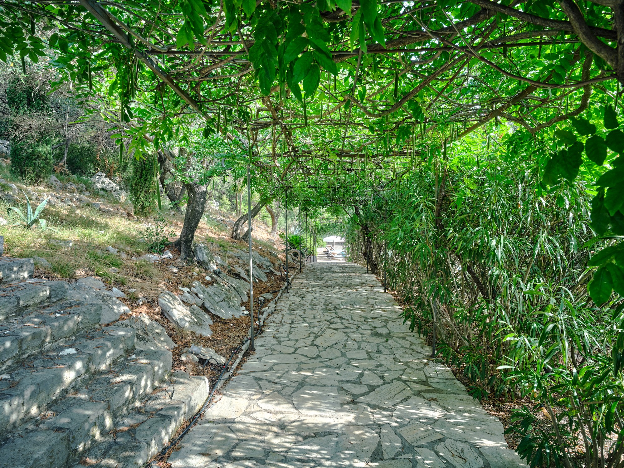  Linamia - 物件實景