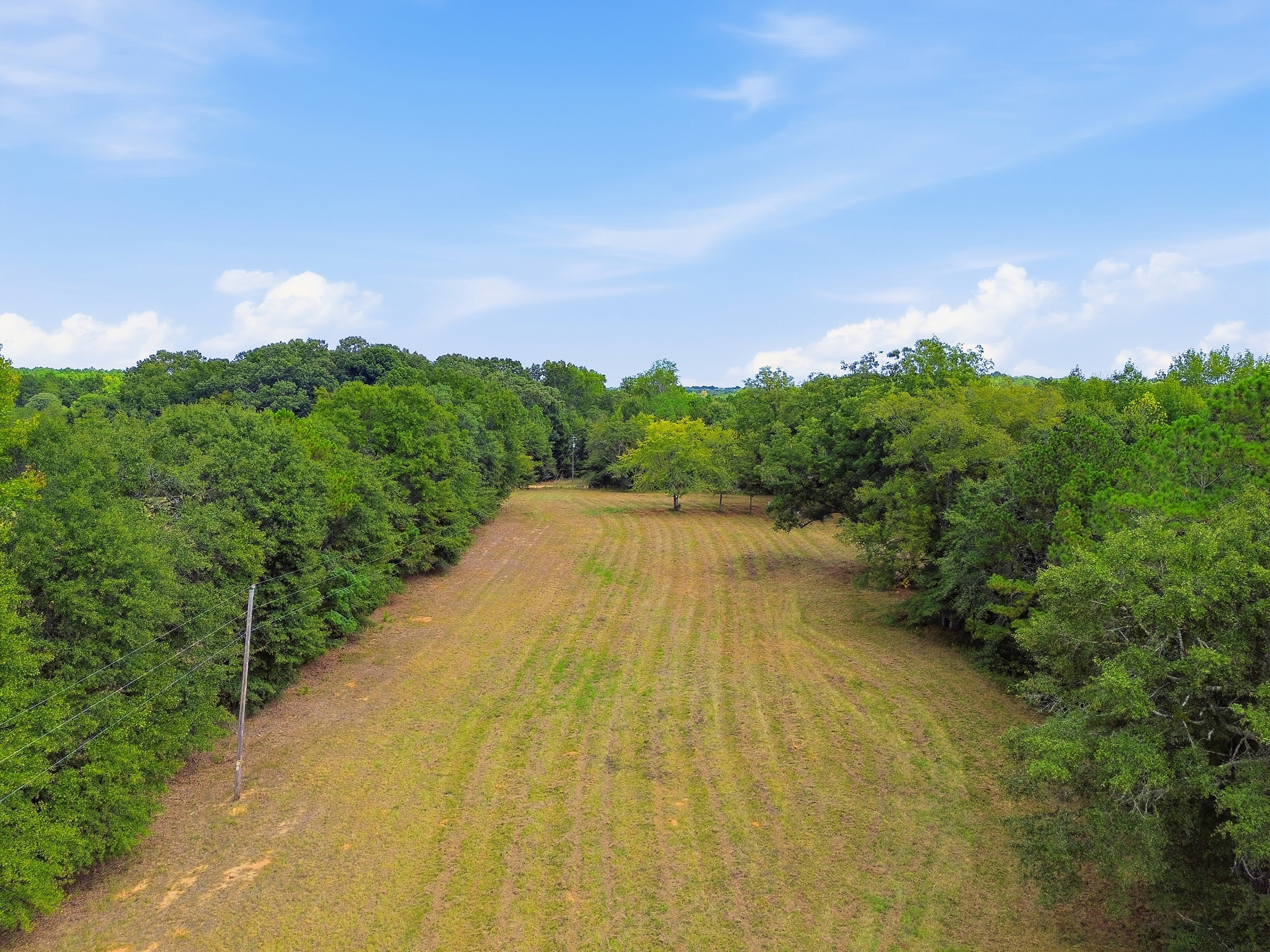  Exquisite 77.5 +/- Acre Private Retreat With Modern Rustic Elegance - 物件實景