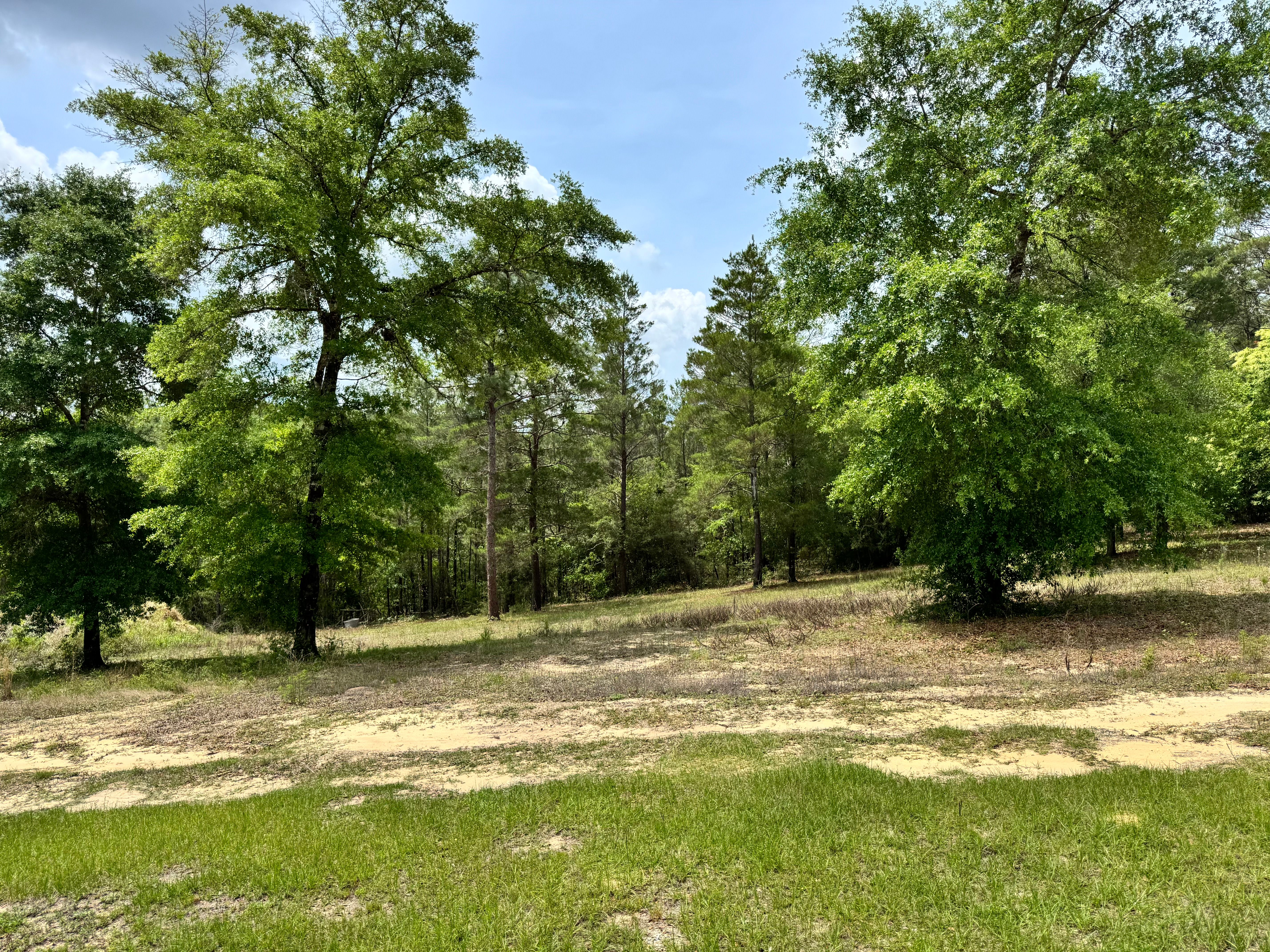  Private 7.55-Acre Property with Existing Infrastructure - 物件實景
