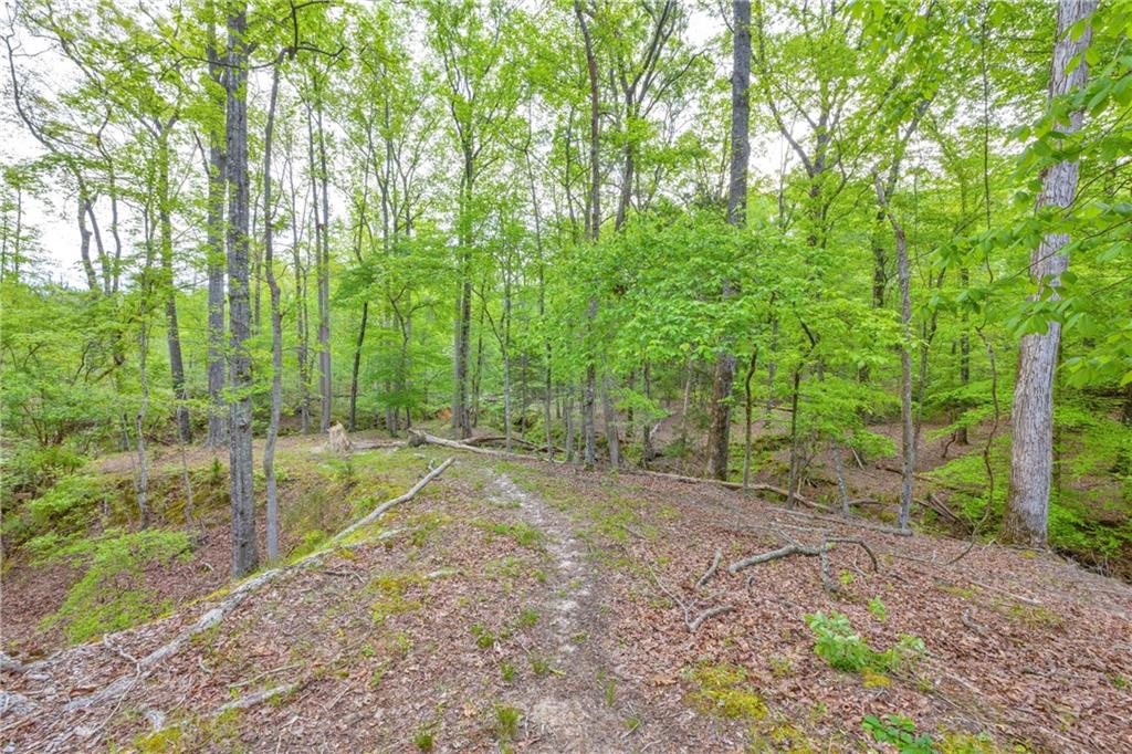 Shiloh, Georgia, 31826, United States, 3 Bedrooms Bedrooms, ,1 BathroomBathrooms,Land,For Sale,1974369