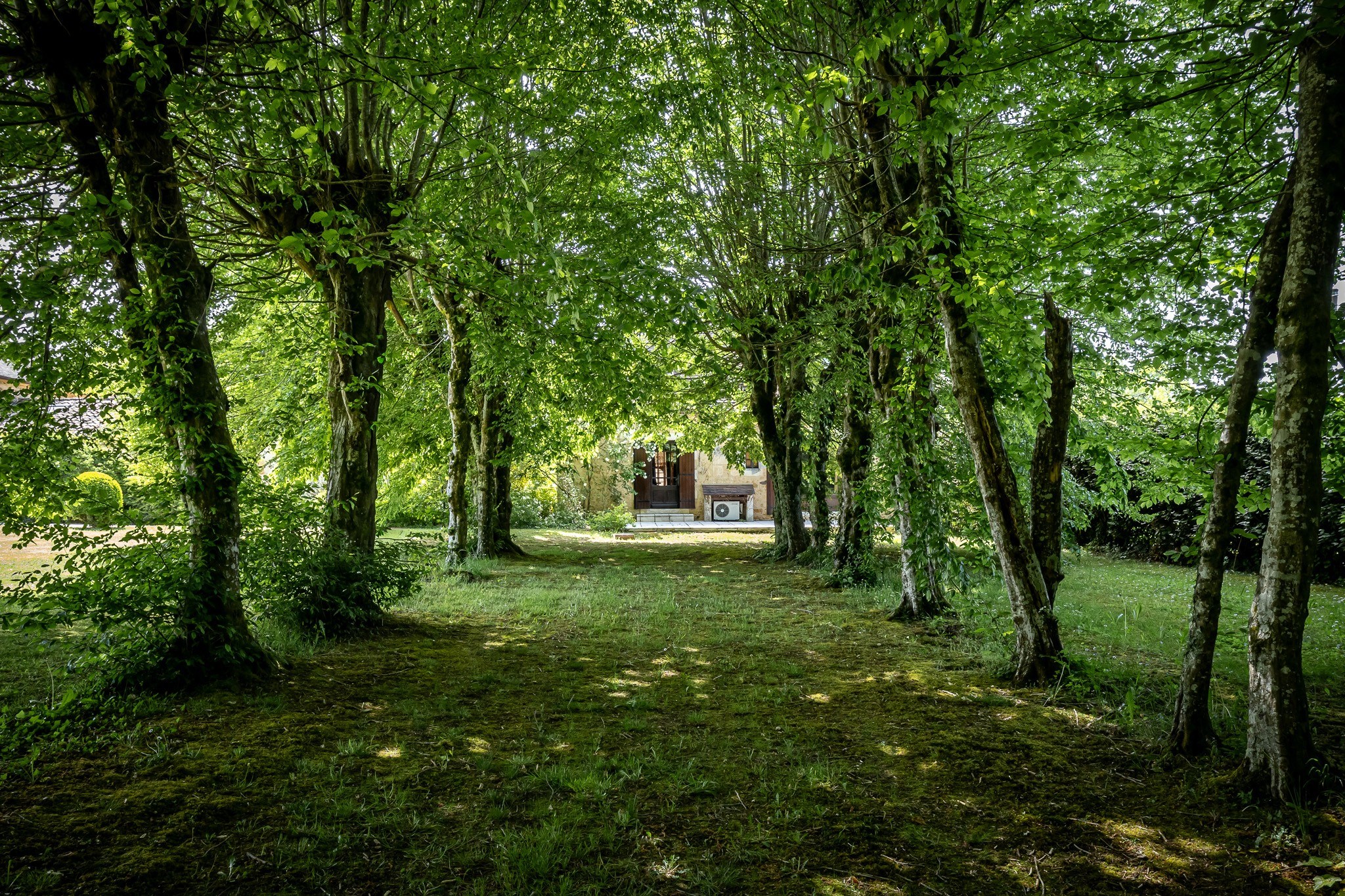  16th-Century Elegance: An Exceptional Estate in the Périgord Region - 物件實景