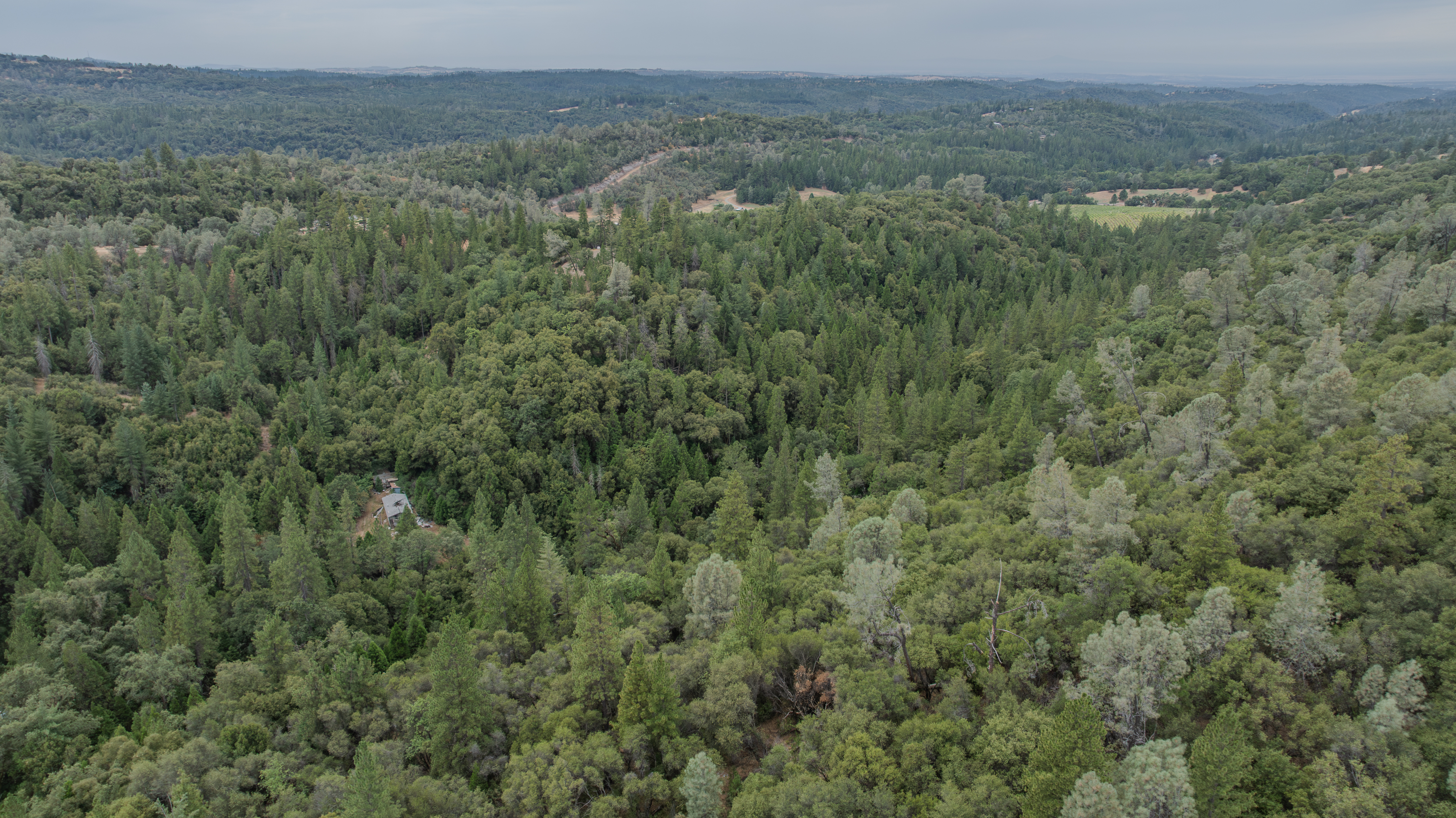 18101 Old River Road, Fiddletown, CA 95629 - 物件實景