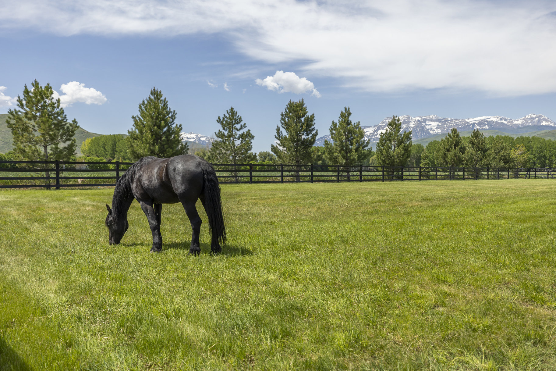  World-Class Equestrian Estate with Unmatched Luxury and Views in Heber Valley - 物件實景