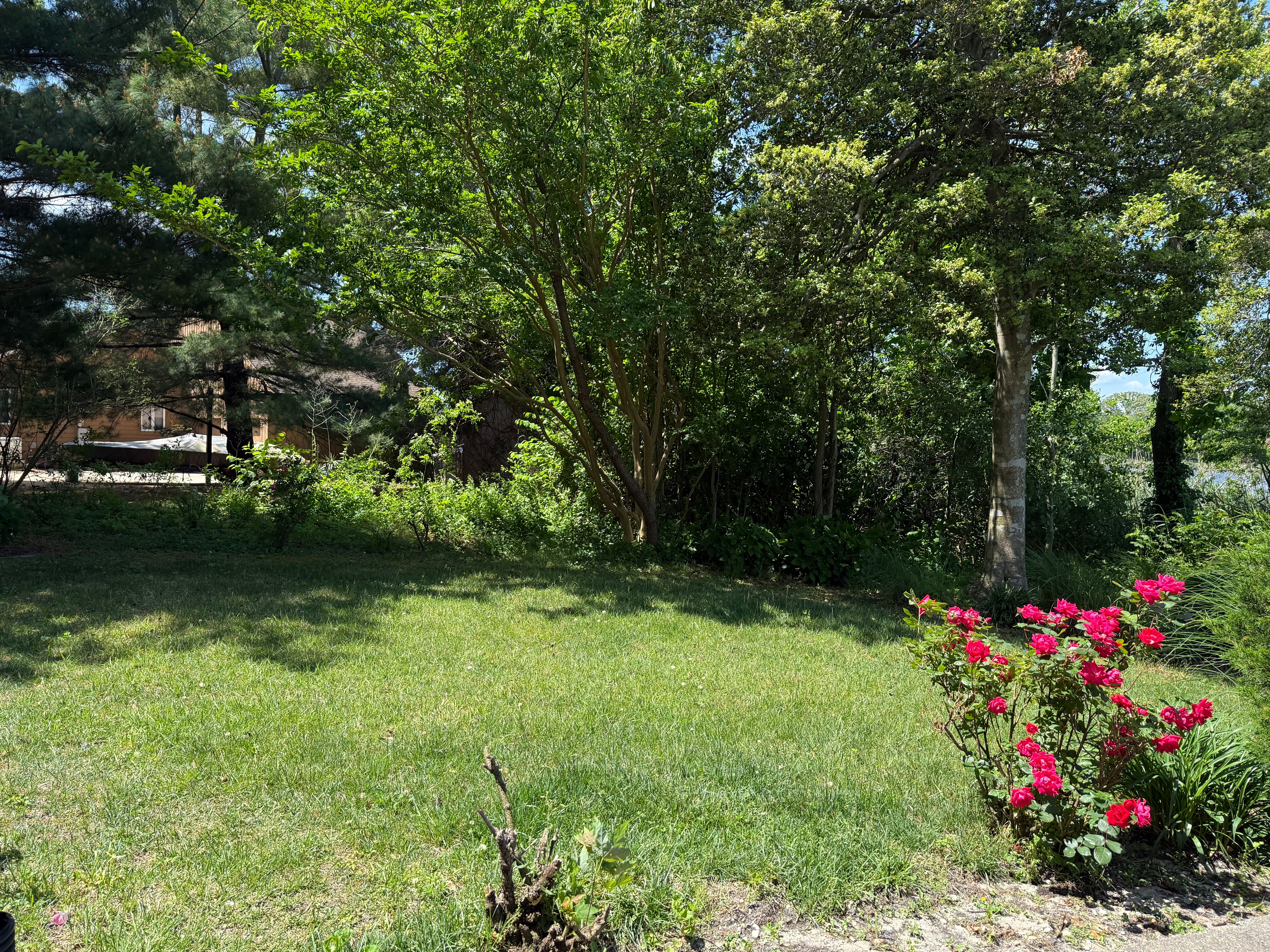  1 Barr, Linwood, NJ, 08221 - 物件實景