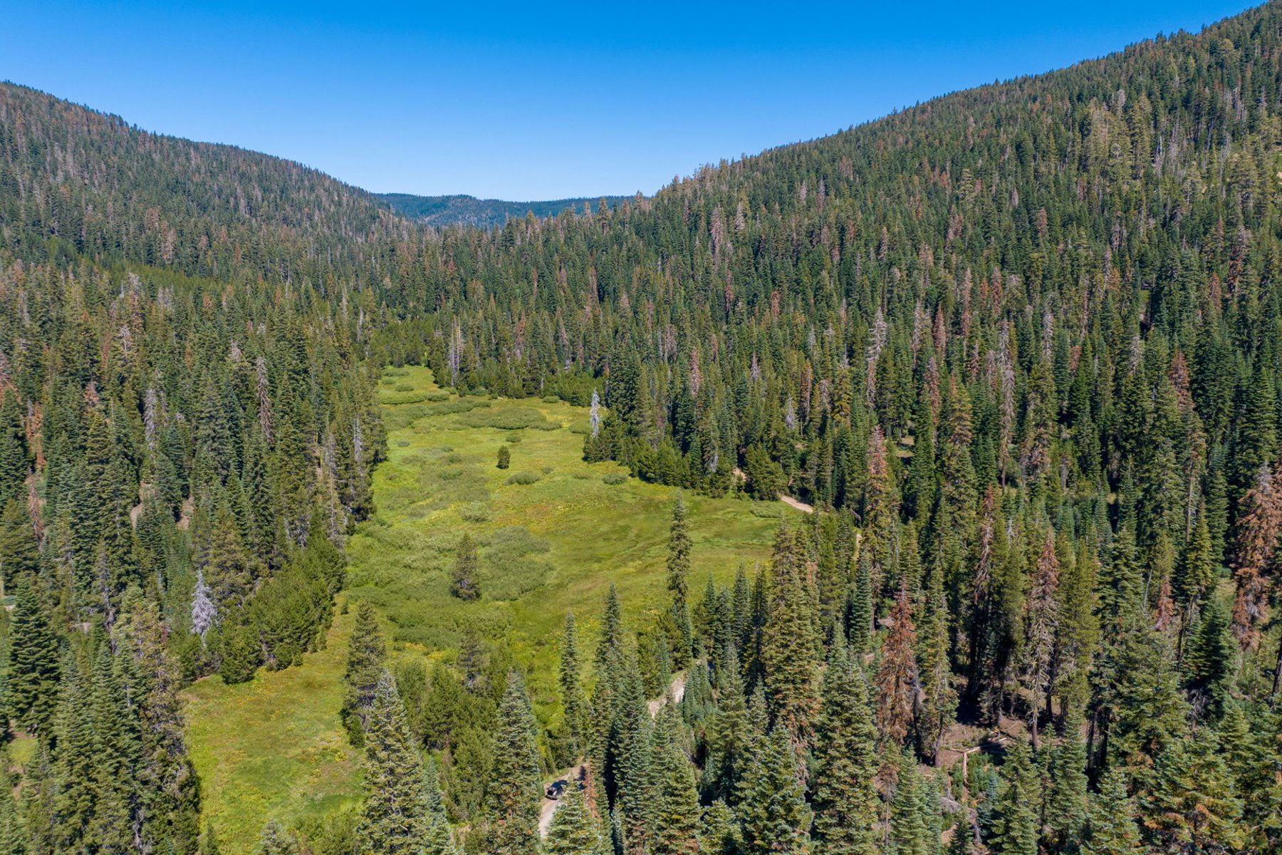  80 Acres of Pristine Land in the Middle of Plumas Eureka State Park - 物件實景