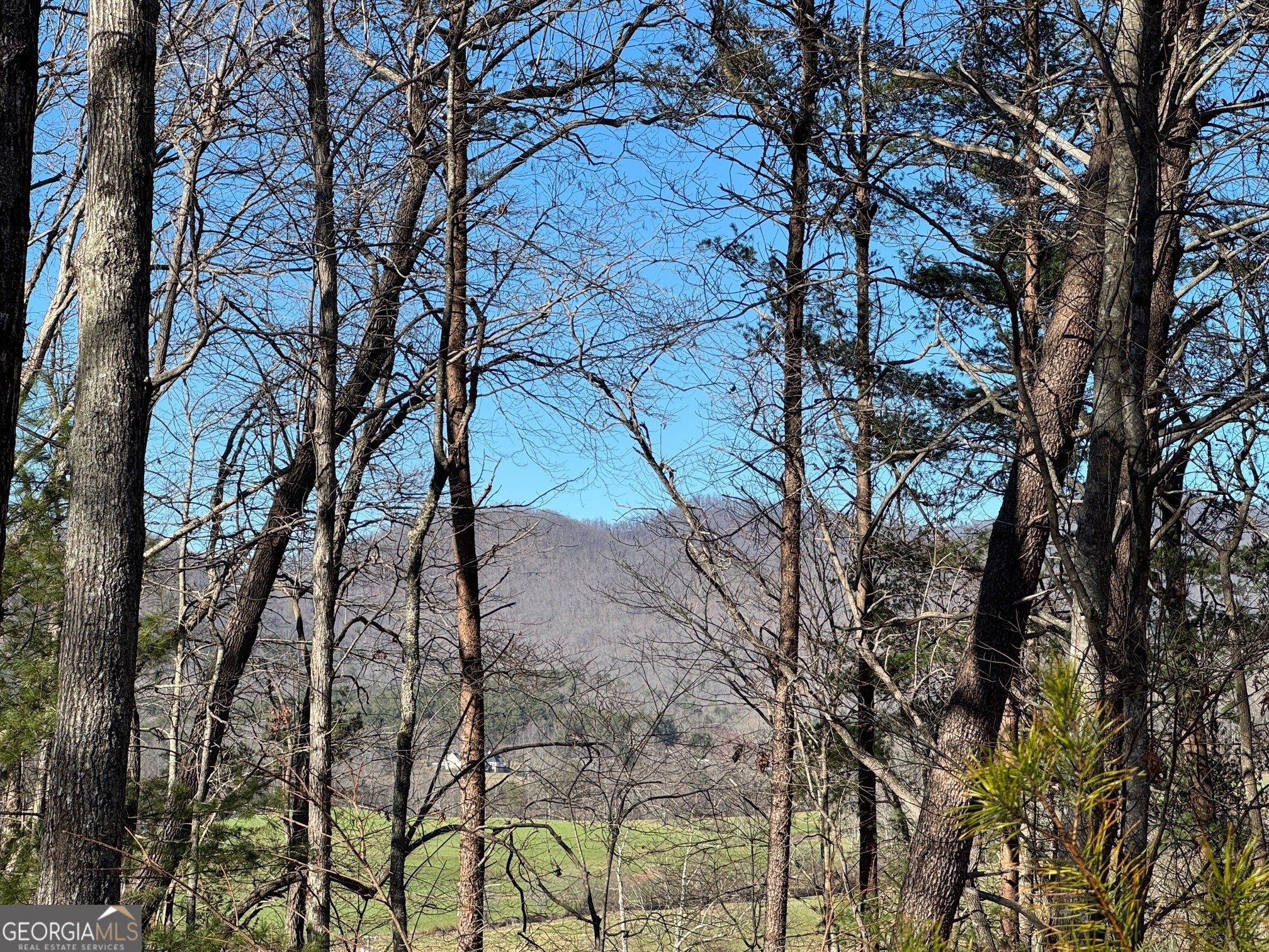 Blairsville, Georgia, 30512, United States, 4 Bedrooms Bedrooms, ,3 BathroomsBathrooms,Residential,For Sale,1859047