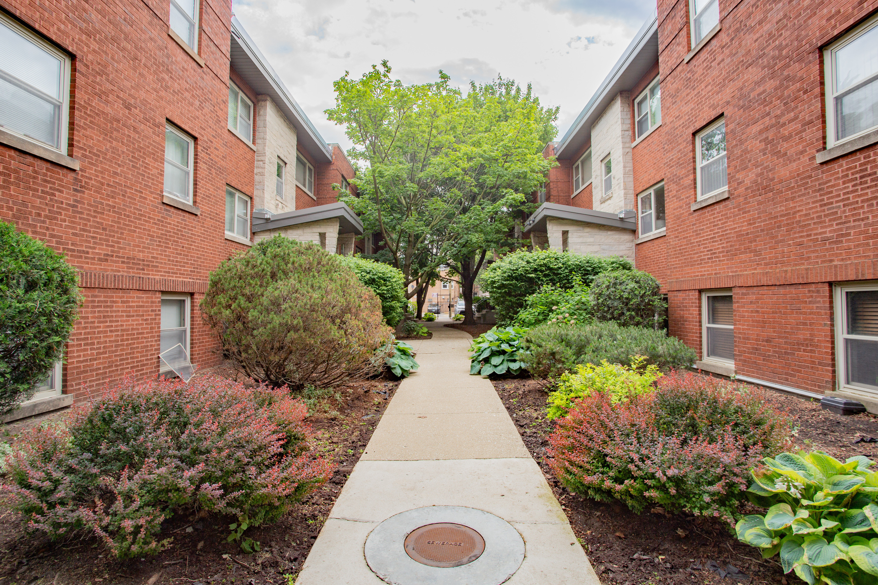  Great, Freshly Updated, Move-in ready Condo in the Heart of Rogers Park - 物件實景