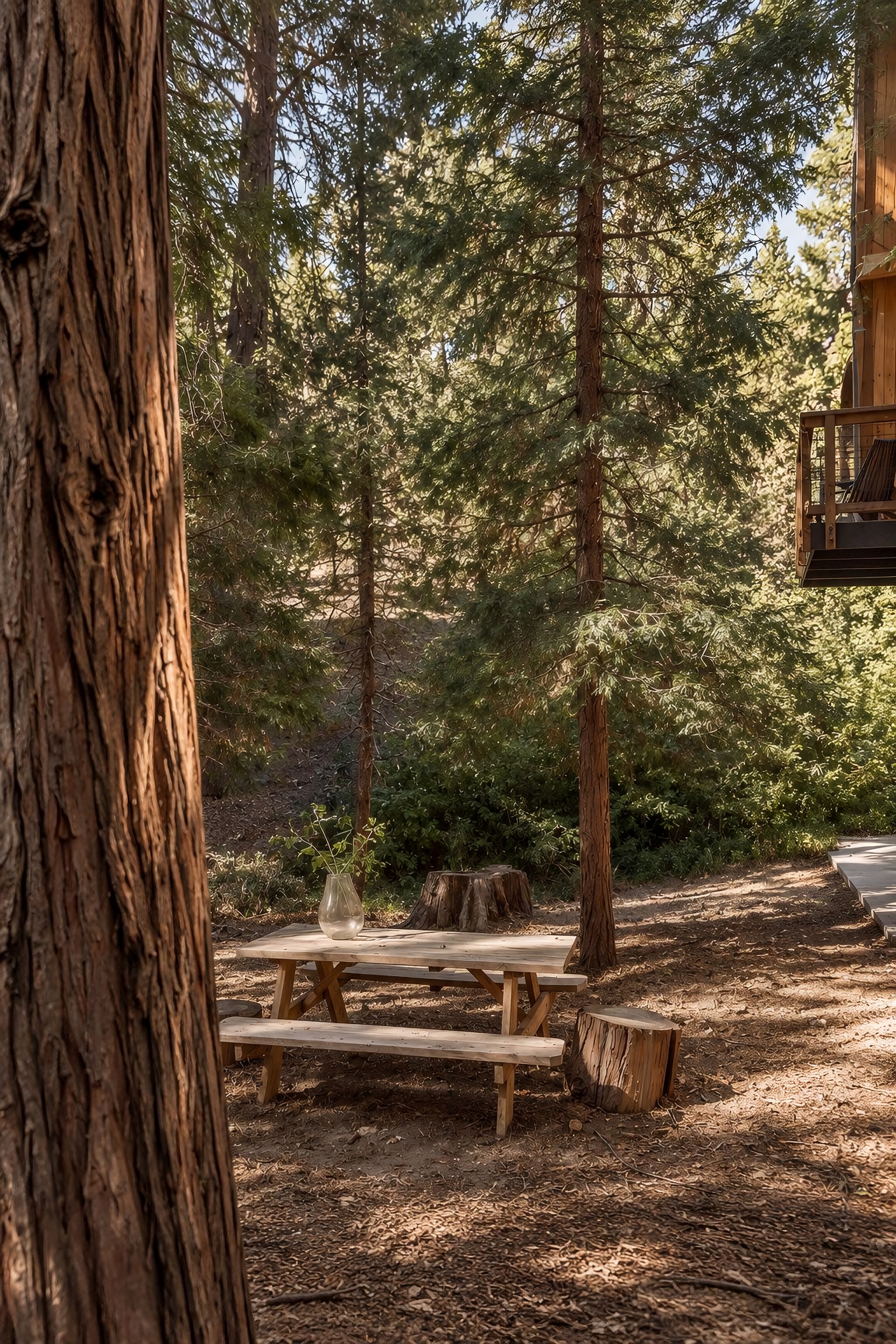  385 Birchwood Drive, Lake Arrowhead, CA 92352 - 物件實景