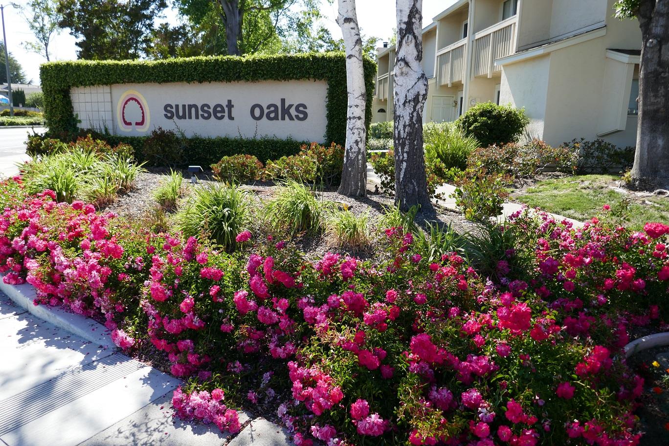 Sunnyvale, California, 94087, United States, 3 Bedrooms Bedrooms, ,2 BathroomsBathrooms,Residential,For Sale,1739915