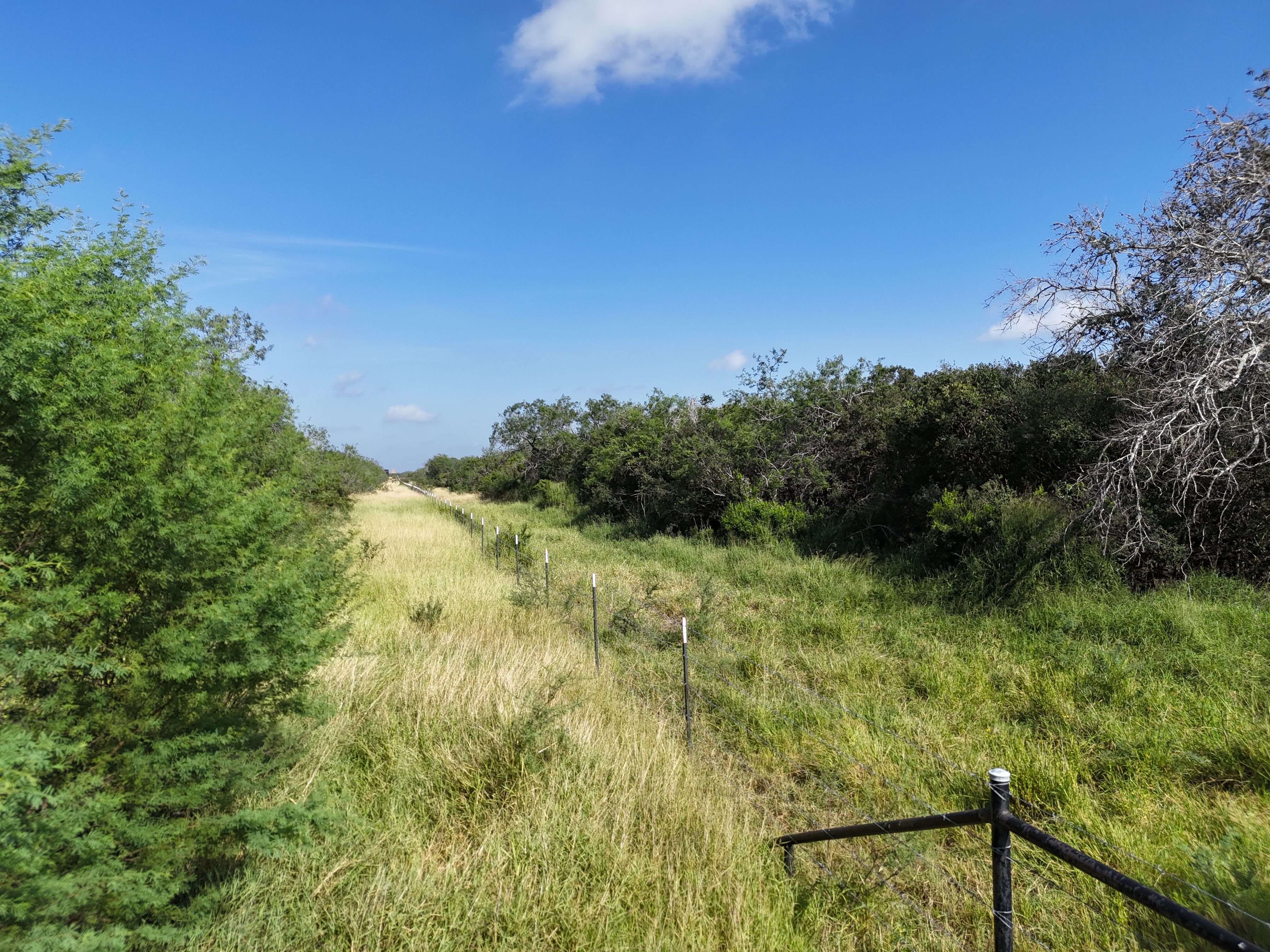  976+/- Acres - San Andreas Creek Ranch - 物件實景