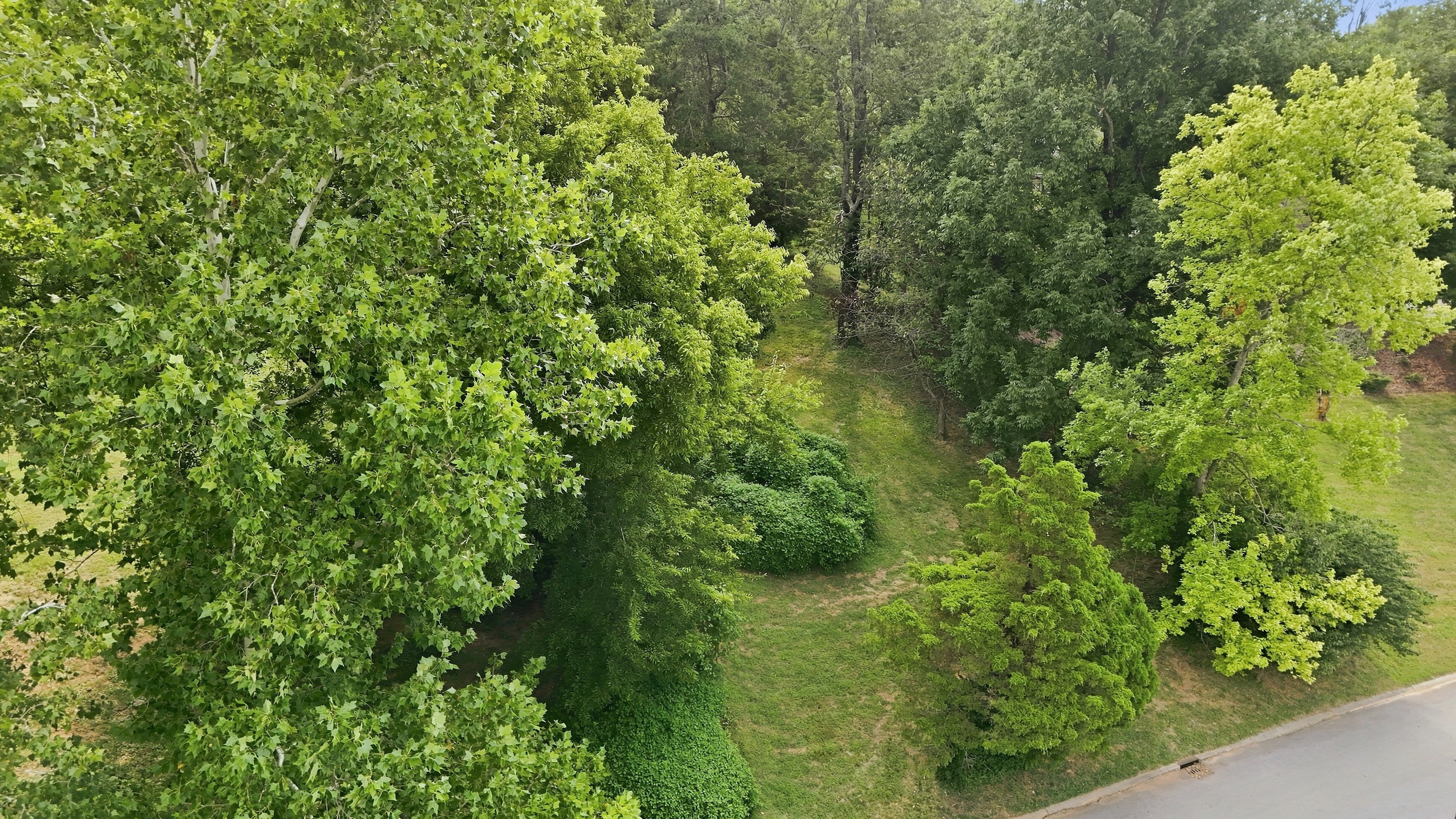  1510 Sylvan Way, Louisville, KY 40205 - 物件實景