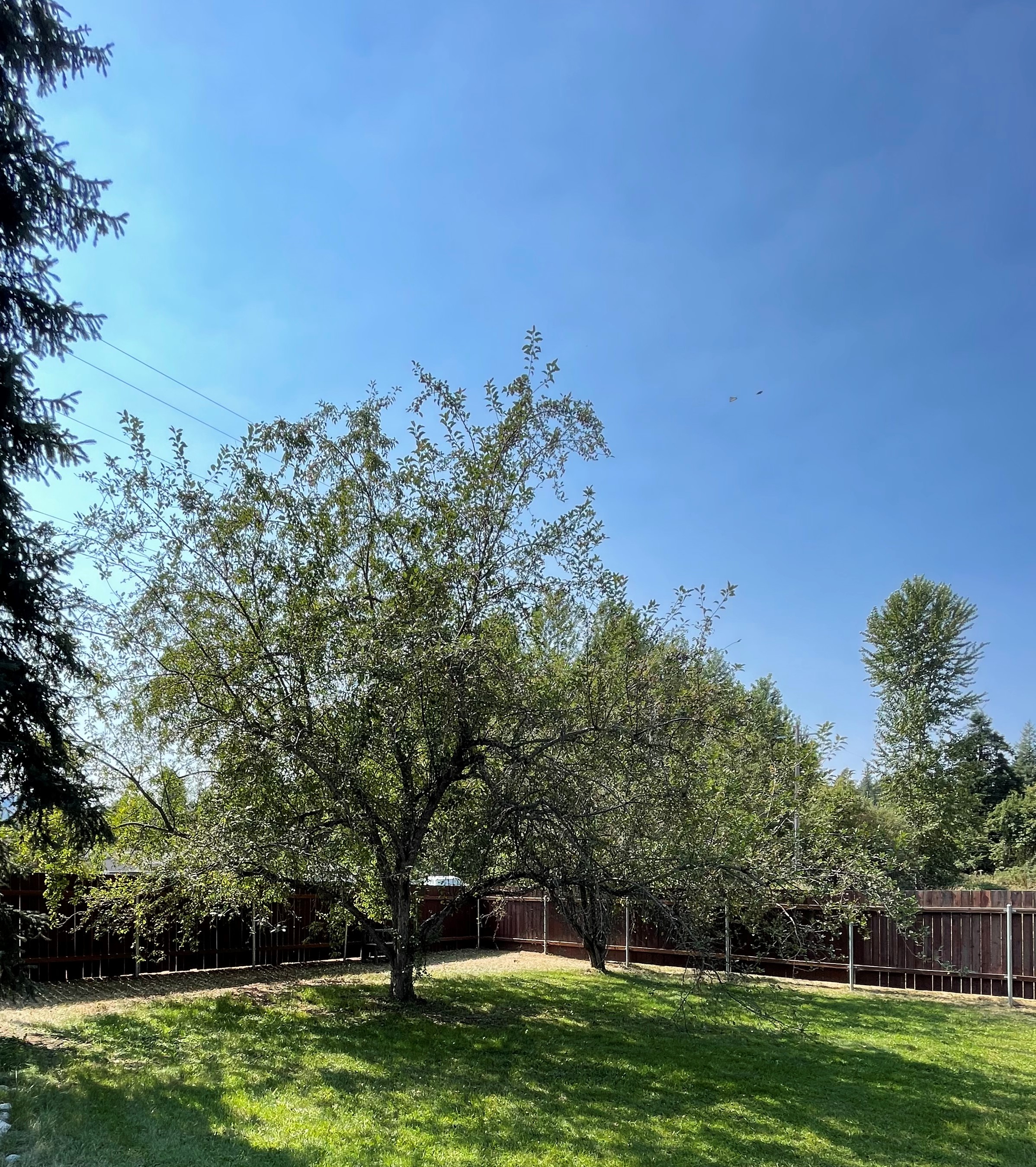 Priest River, Idaho, 83856, United States, 2 Bedrooms Bedrooms, ,2 BathroomsBathrooms,Residential,For Sale,1928264
