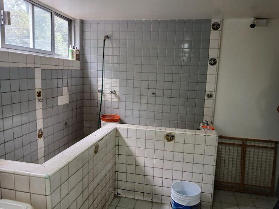 Coyoacán, Ciudad de México, 04200, Mexico, 4 Bedrooms Bedrooms, ,2 BathroomsBathrooms,Residential,For Sale,1916889