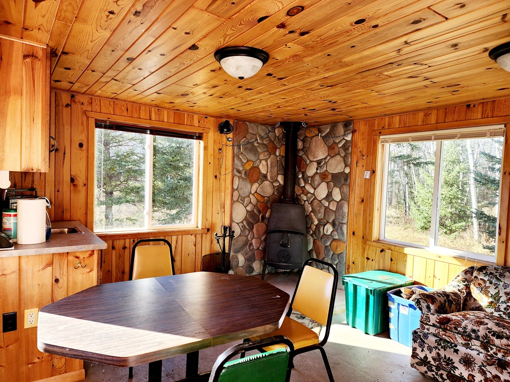 Grand Rapids, Minnesota, 55744, United States, ,Land,For Sale,1983791