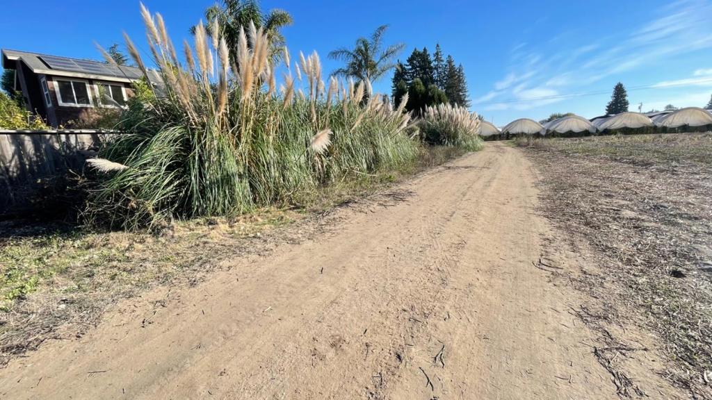 Watsonville, California, 95076, United States, 4 Bedrooms Bedrooms, ,3 BathroomsBathrooms,Residential,For Sale,1982776