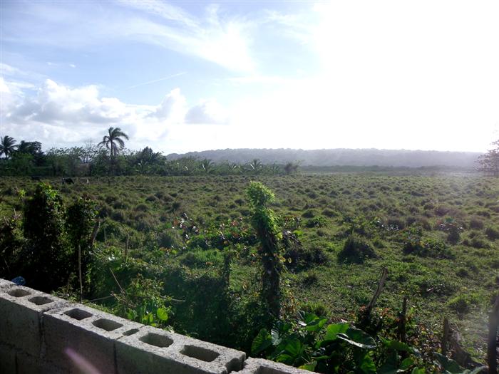 Cabarete, DO, ,Land,For Sale,1621301
