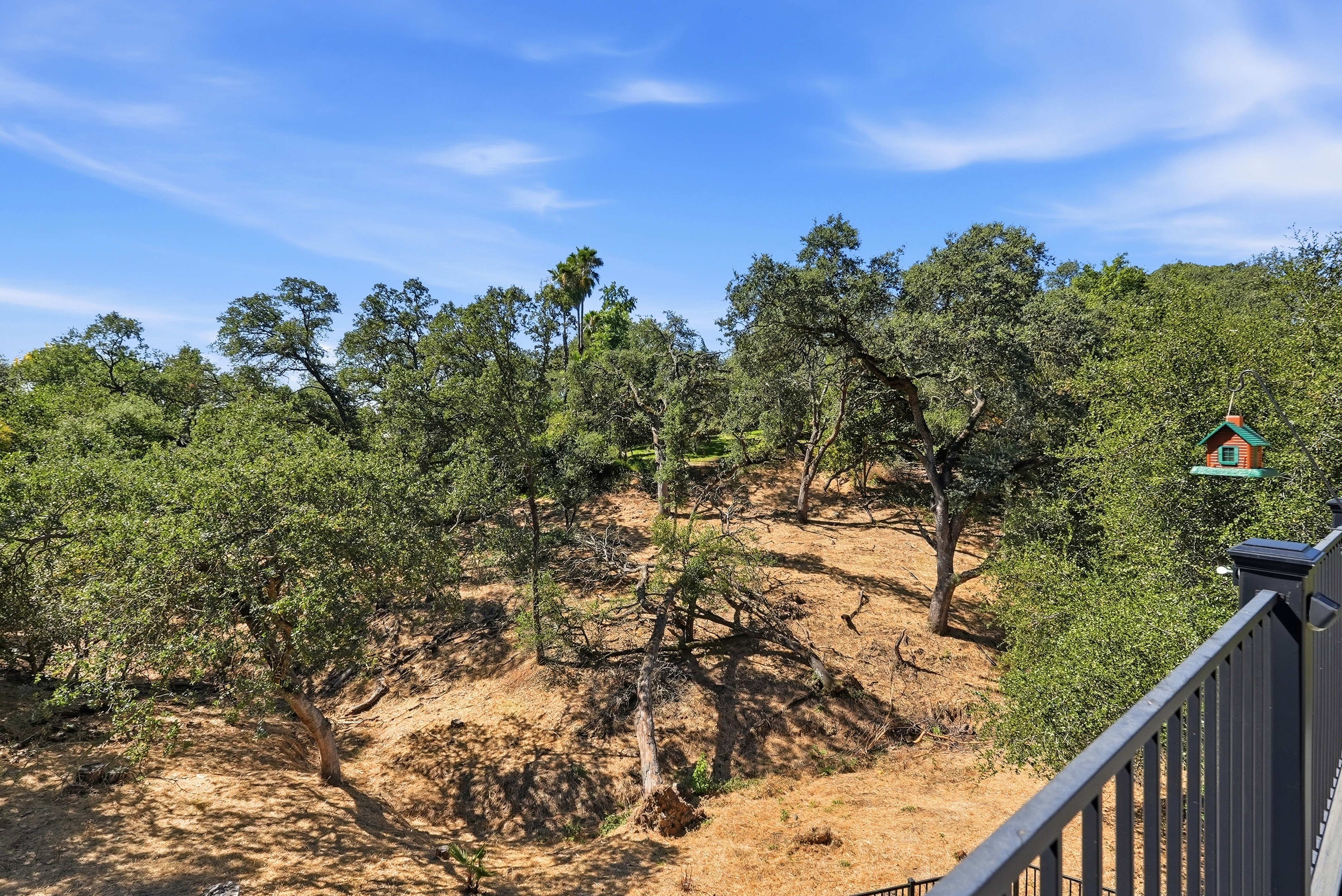  9290 South Ravine Lane, Fair Oaks, CA 95628 - 物件實景
