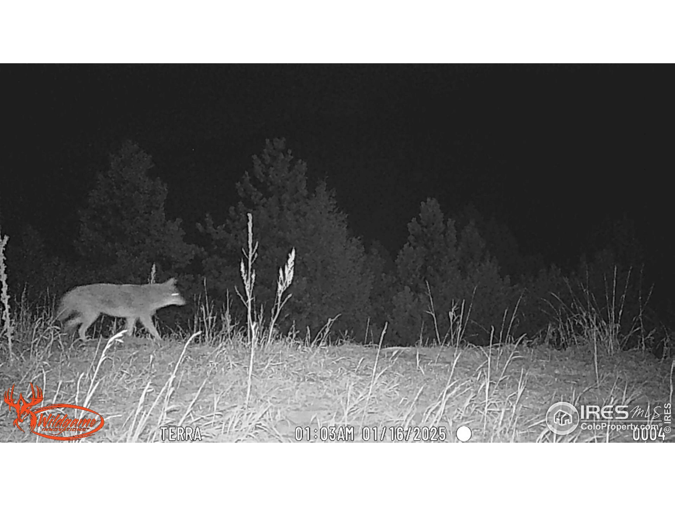 Drake, Colorado, 80515, United States, 3 Bedrooms Bedrooms, ,2 BathroomsBathrooms,Residential,For Sale,1820085