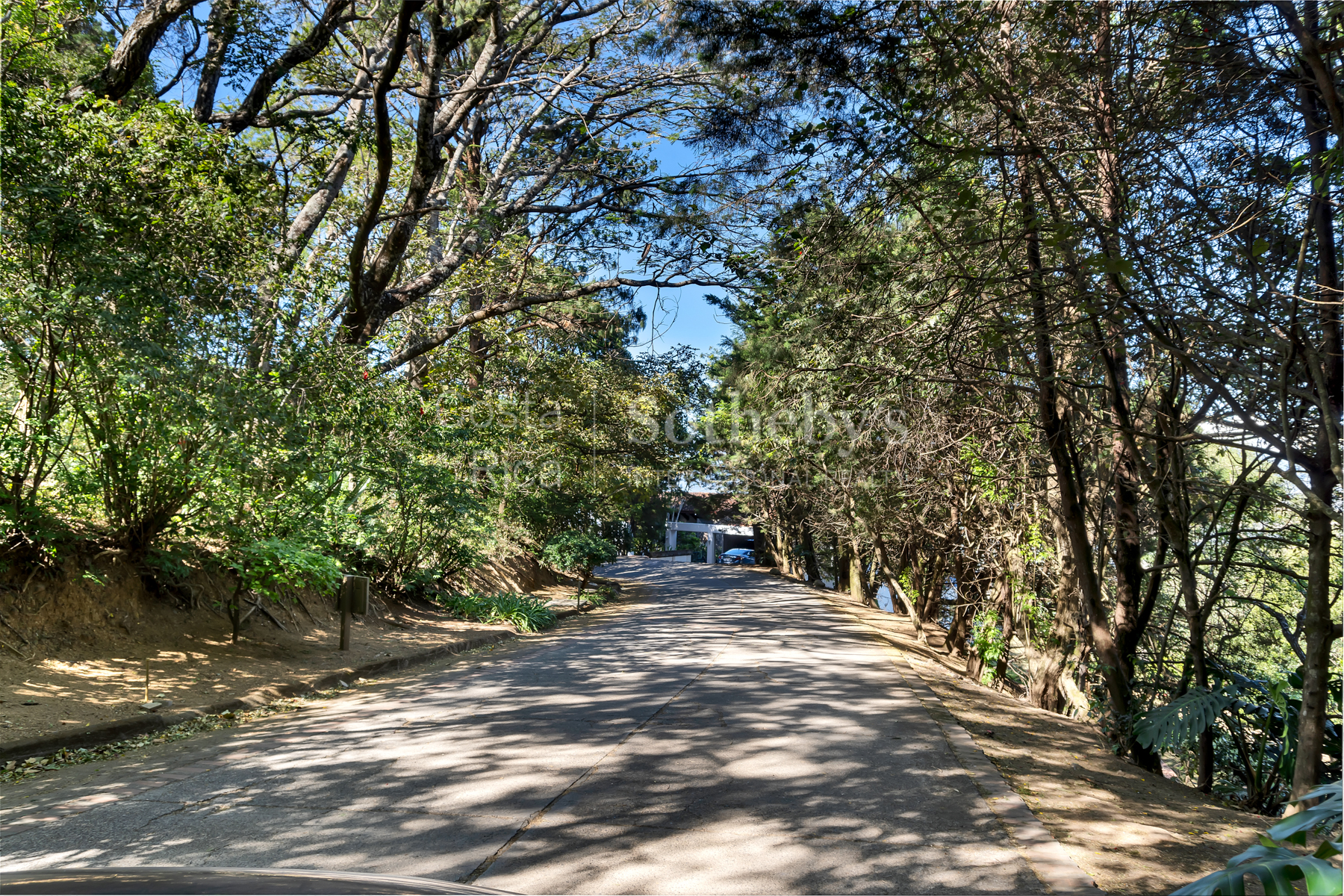 Best Deal Lot In Condominuim Montaña del Sol - 物件實景