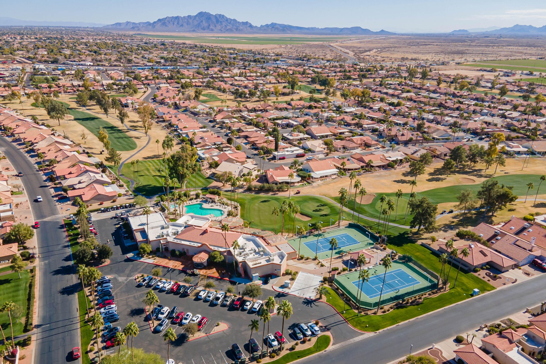  26202 S Flame Tree Drive  Sun Lakes, AZ - 物件實景