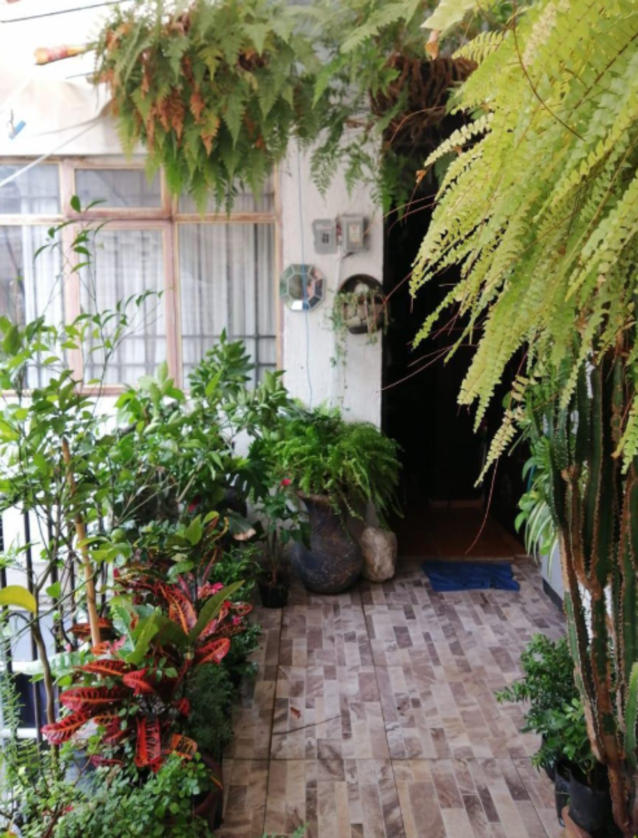 Álvaro Obregón, Ciudad de México, 01759, Mexico, 6 Bedrooms Bedrooms, ,4 BathroomsBathrooms,Residential,For Sale,1723771