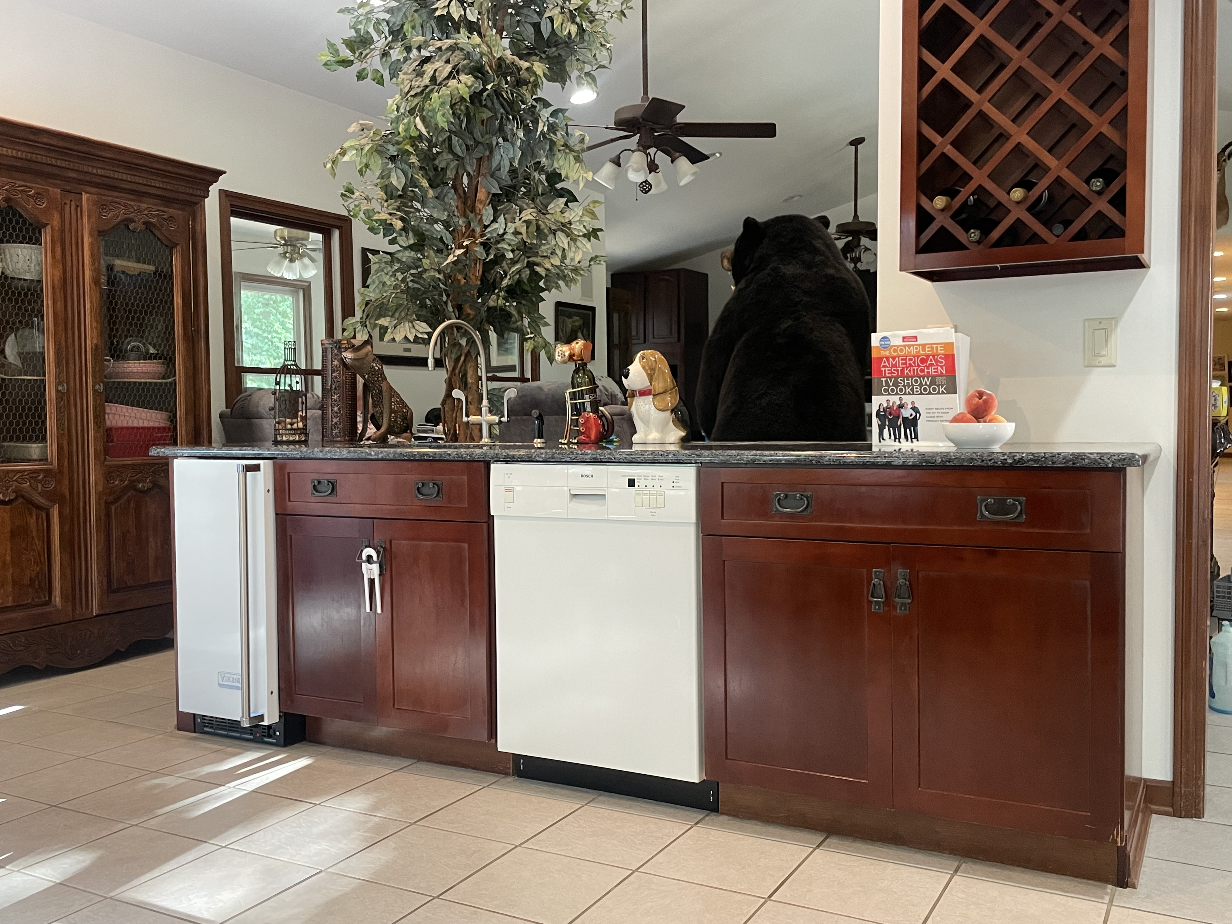 Murphysboro, Illinois, 62966, United States, 5 Bedrooms Bedrooms, ,6 BathroomsBathrooms,Residential,For Sale,1977081