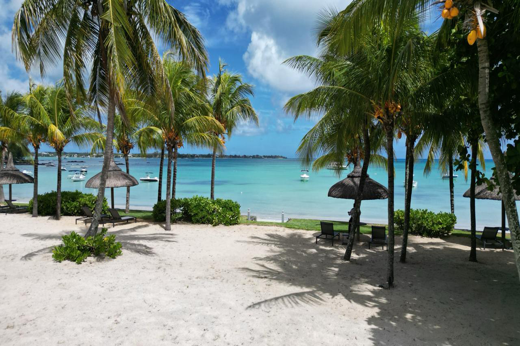  The Palmview - 物件實景