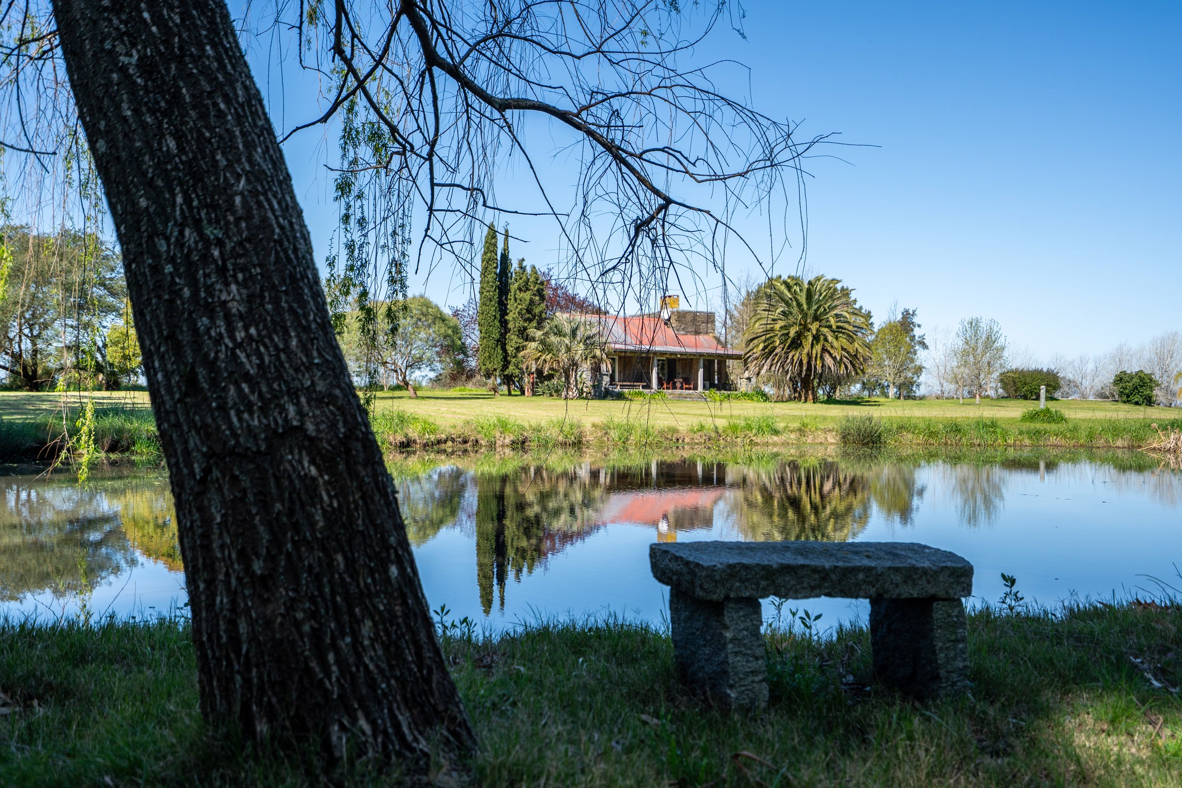  Farm in Lapataia with three buildings. - 物件實景