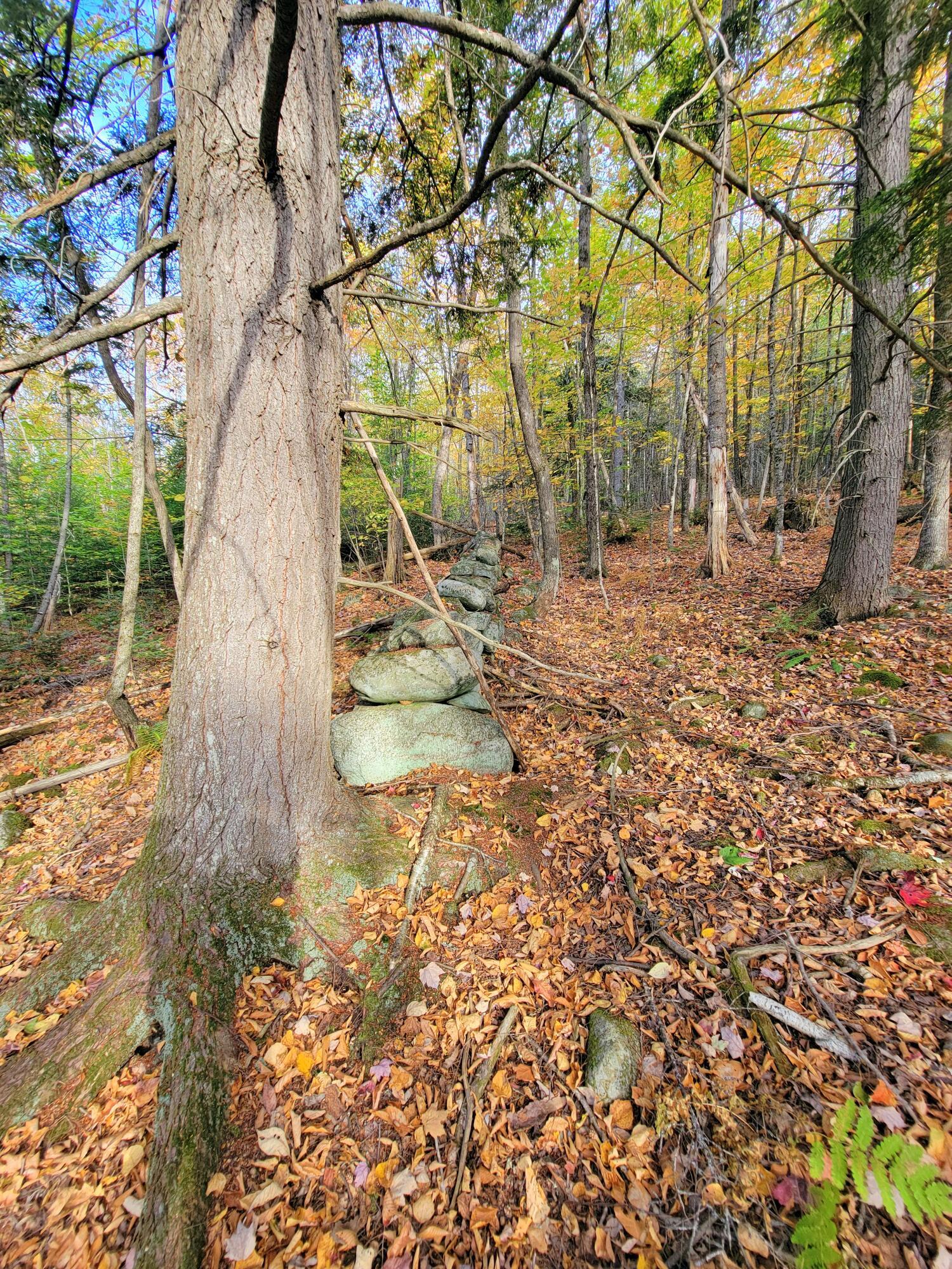 Farmington, Maine, 04938, United States, 5 Bedrooms Bedrooms, ,3 BathroomsBathrooms,Residential,For Sale,1960728