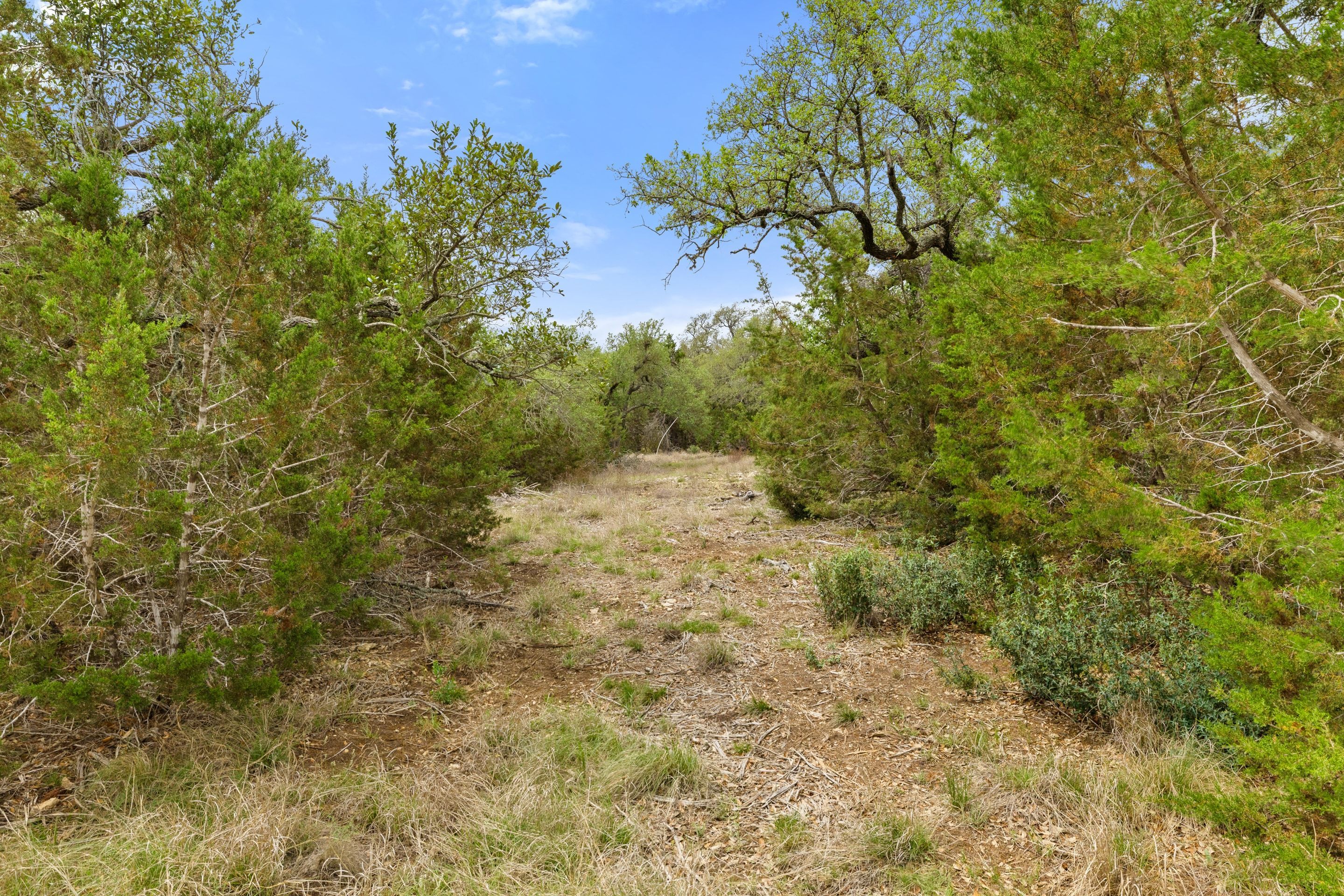  83 S Flat Rock Way - 5 Acre Lot in Gated Legacy Hills - 物件實景