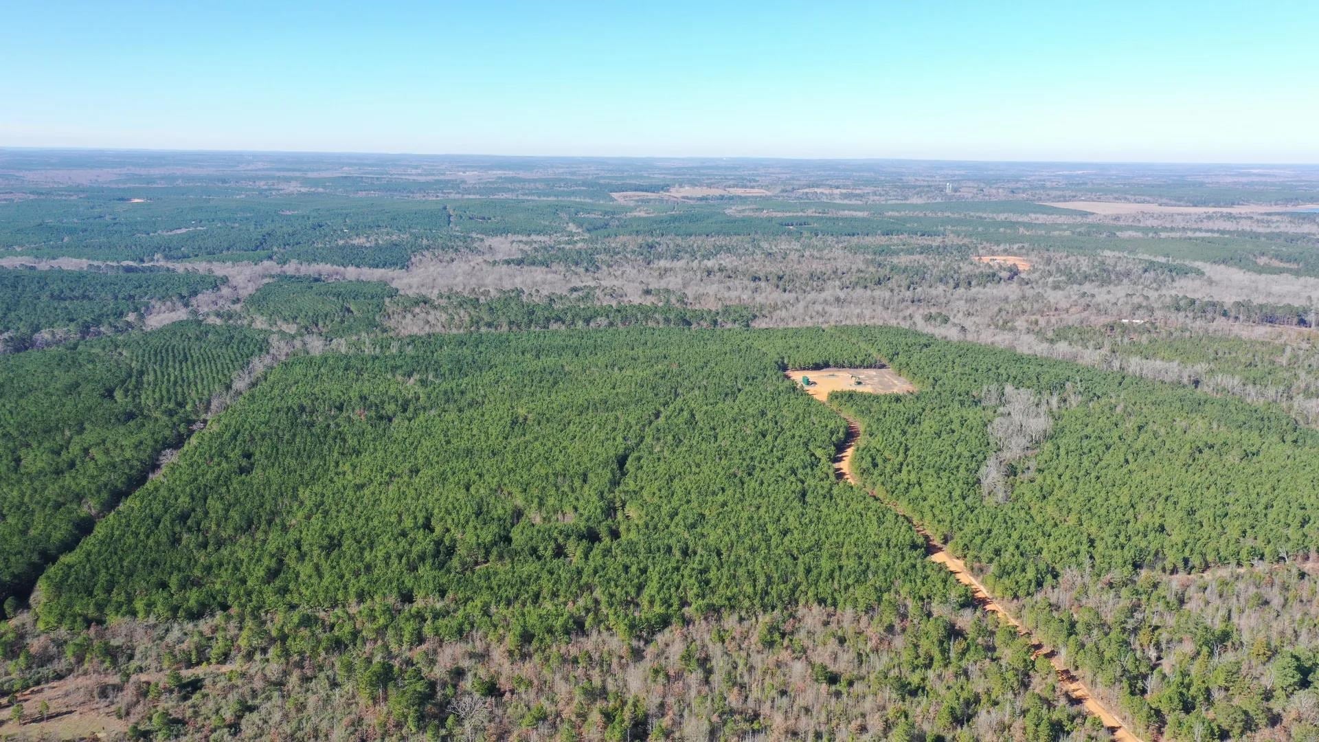 Linden, Texas, 75563, United States, ,Land,For Sale,2005293