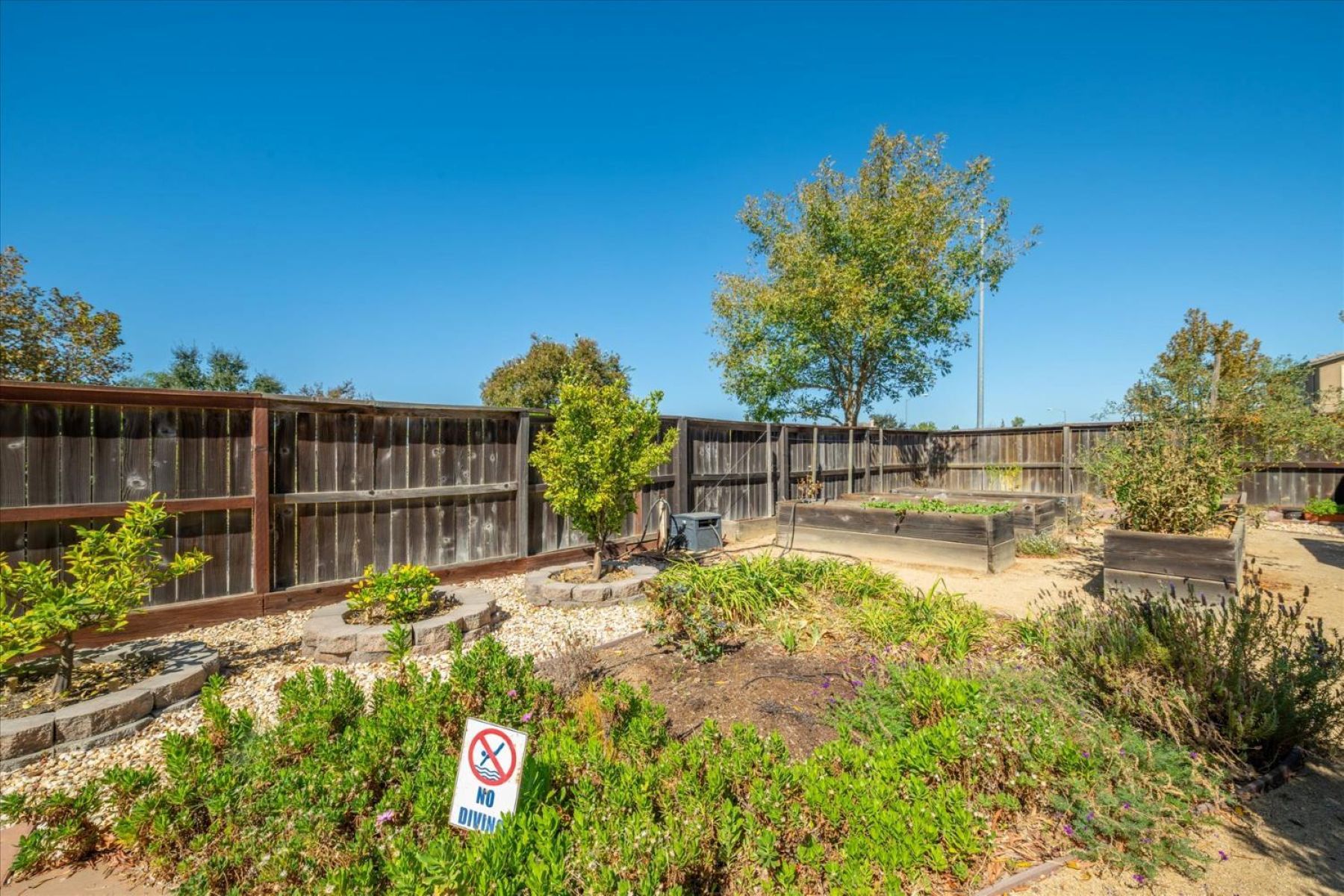  33203 Pintail Street, Woodland, CA 95695 - 物件實景