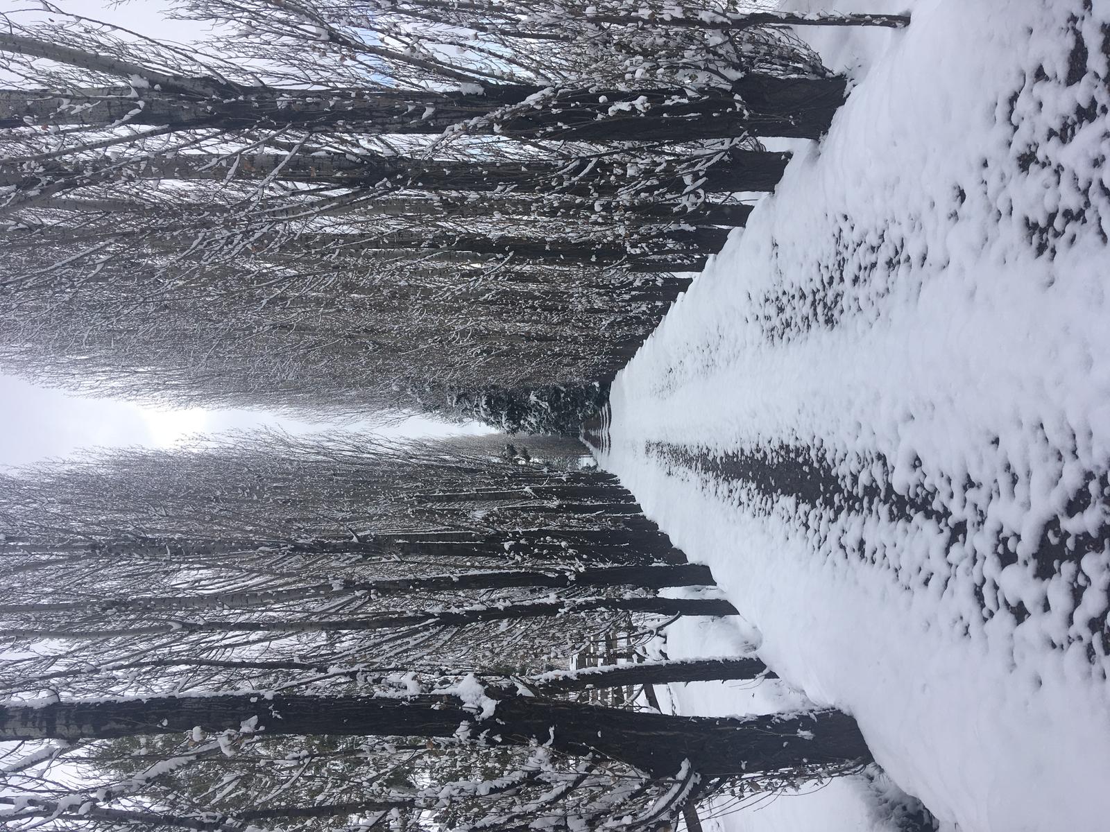 Lujan De Cuyo, AR-M, AR, 5 Bedrooms Bedrooms, ,8 BathroomsBathrooms,Residential,For Sale,1999071