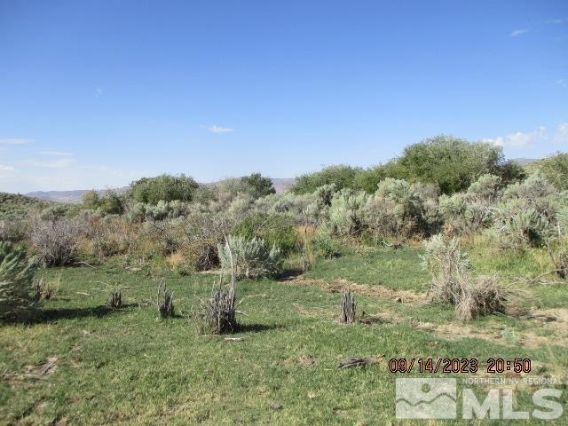 Orovada, Nevada, 89425, United States, ,Residential,For Sale,1860452