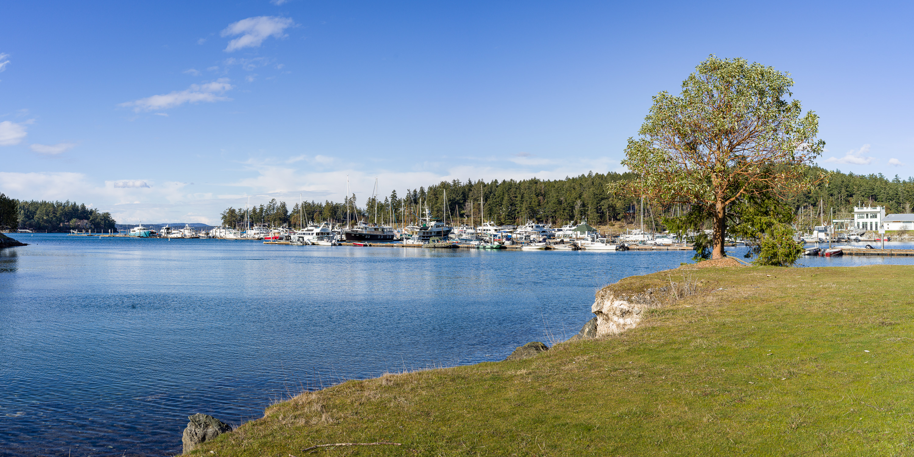  Tranquil Roche Harbor Retreat - 物件實景