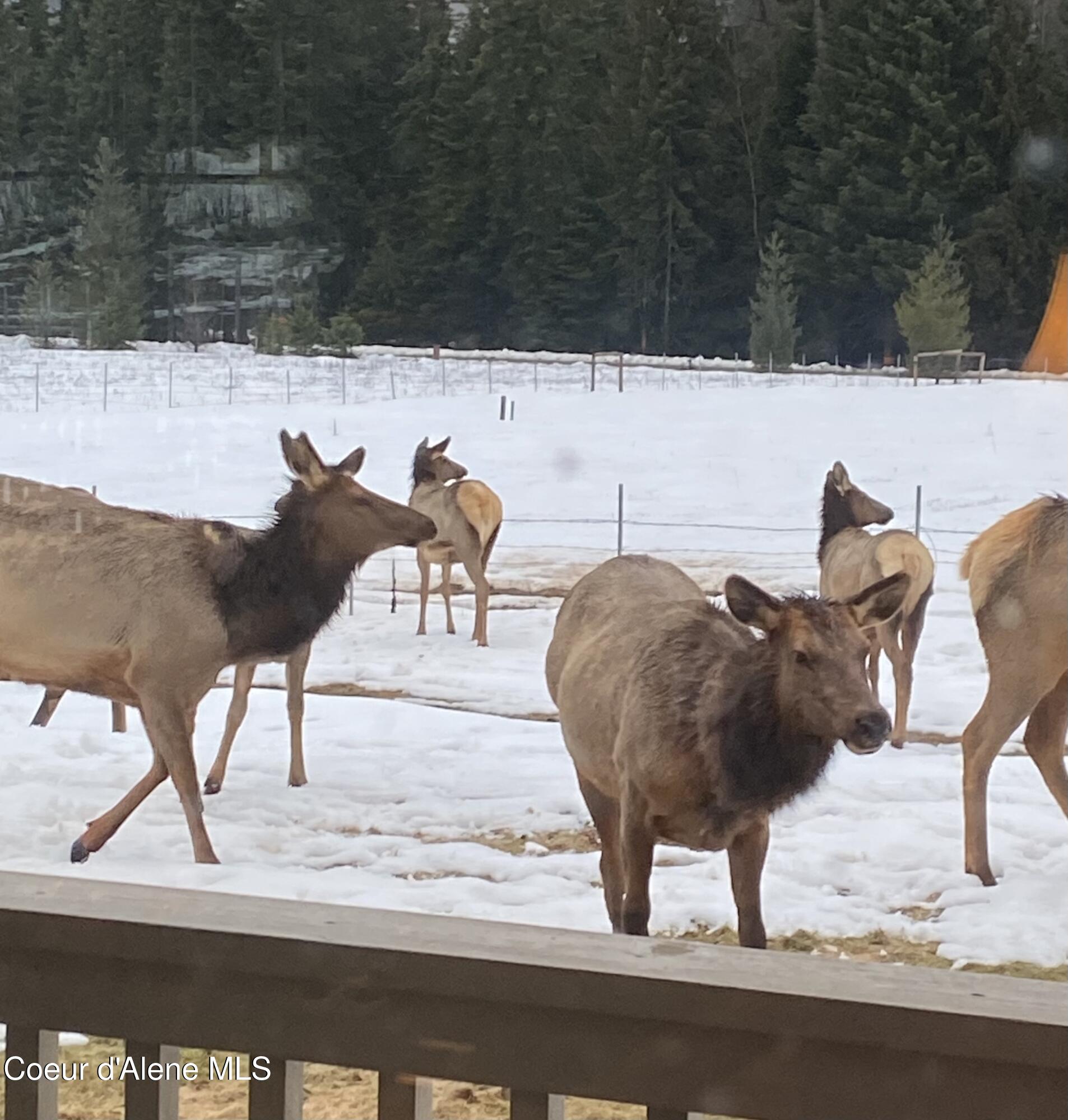 Wallace, Idaho, 83873, United States, 3 Bedrooms Bedrooms, ,3 BathroomsBathrooms,Residential,For Sale,2040255