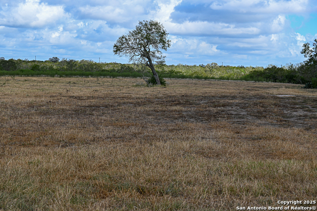 Nixon, Texas, 78140, United States, ,Residential,For Sale,1988320