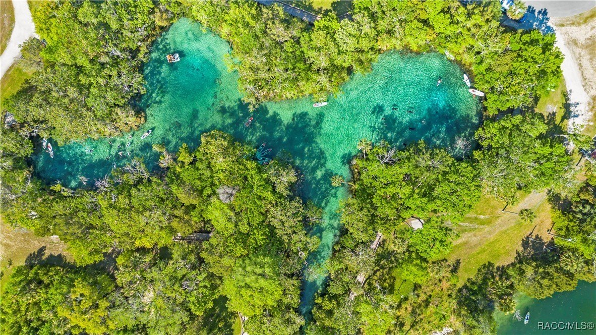 Crystal River, Florida, 34429, United States, 4 Bedrooms Bedrooms, ,3 BathroomsBathrooms,Residential,For Sale,1996734