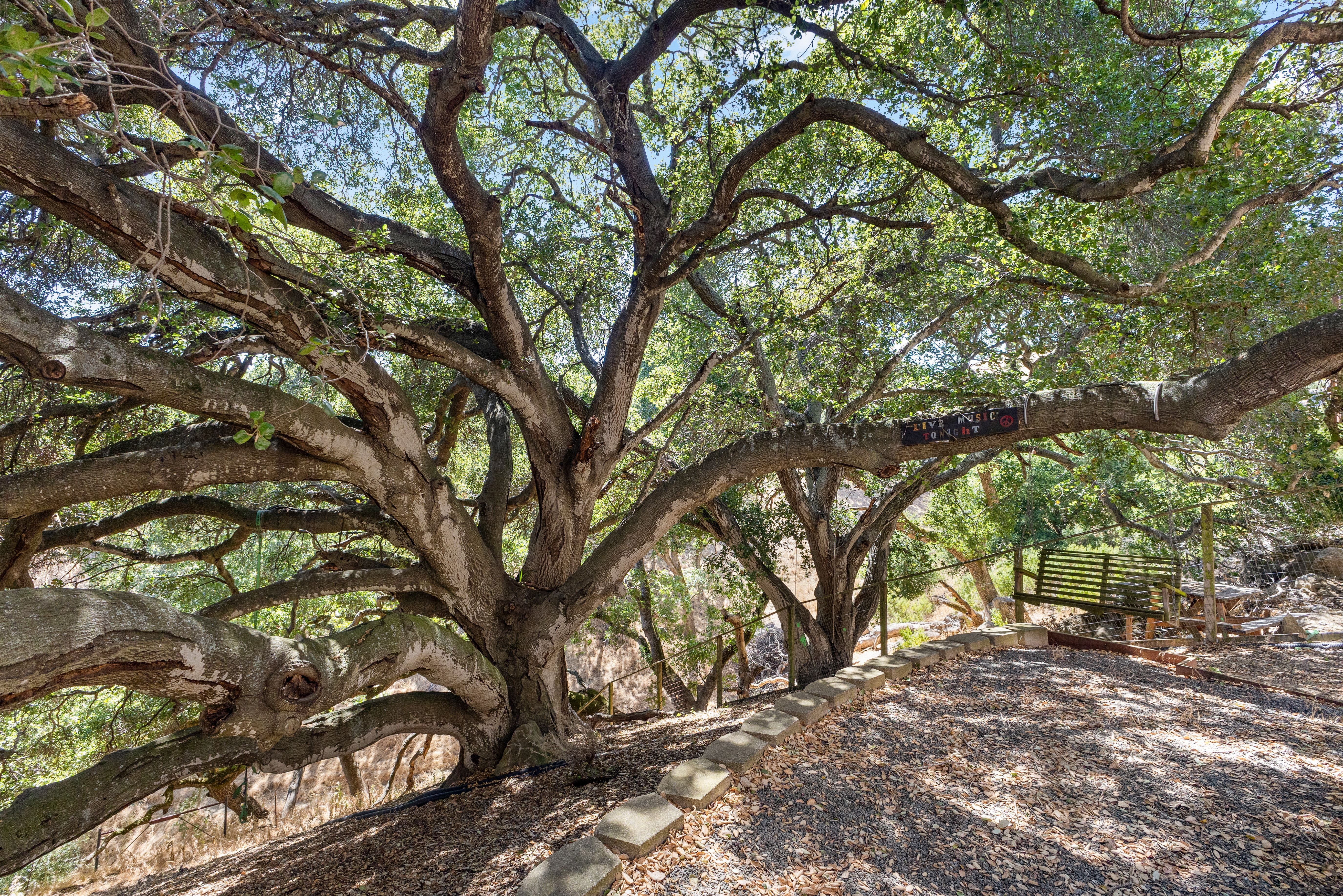  Custom Home on a Spectacular View Lot with Majestic Heritage Oak - 物件實景